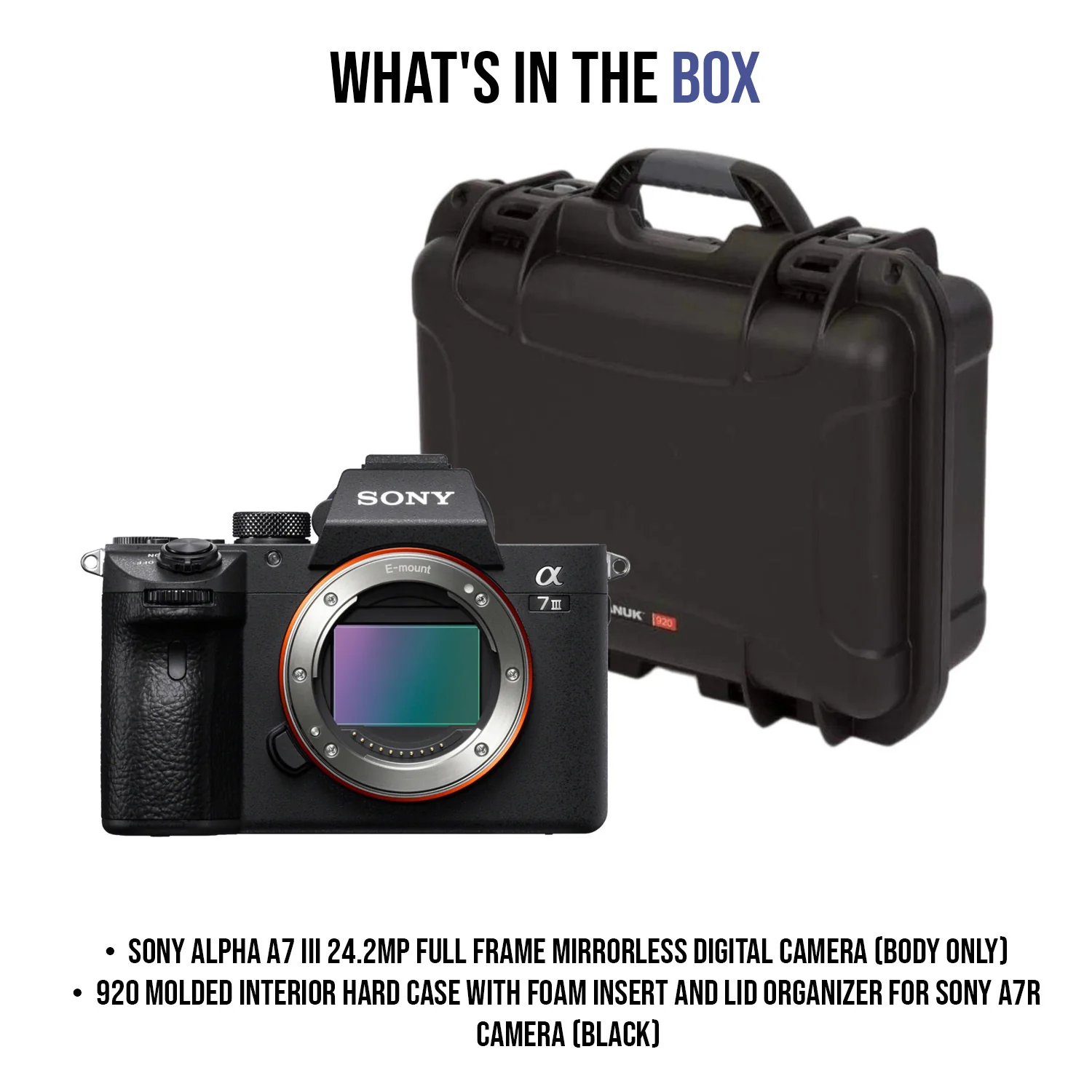 Sony Alpha a7 III 24.2MP Full Frame Mirrorless Digital Camera (Body Only) with Hard Case Bundle - Image 7