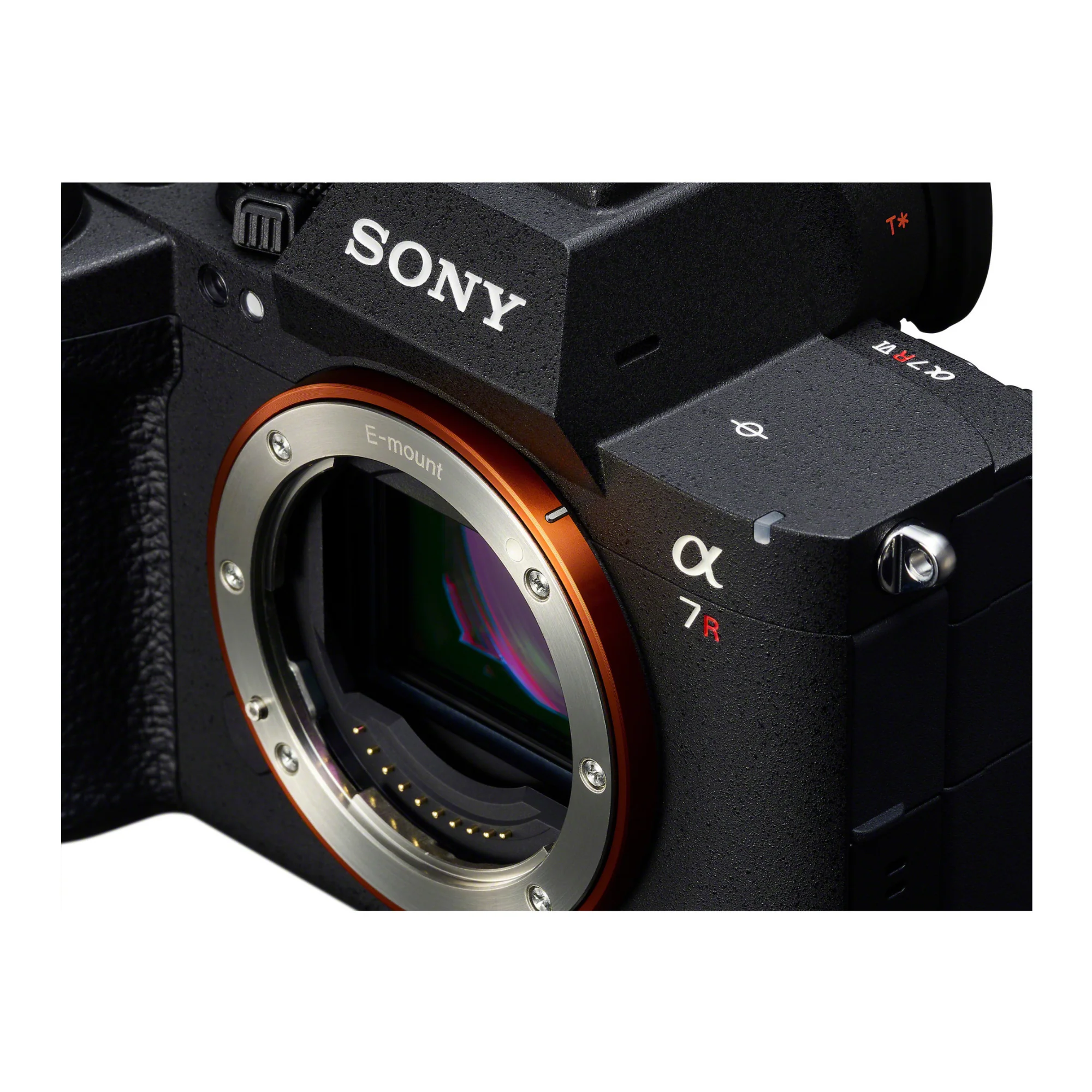 Sony a7R VI Mirrorless Camera with Sony FE 100-400mm f/4.5 GM OSS Lens Bundle - Image 3