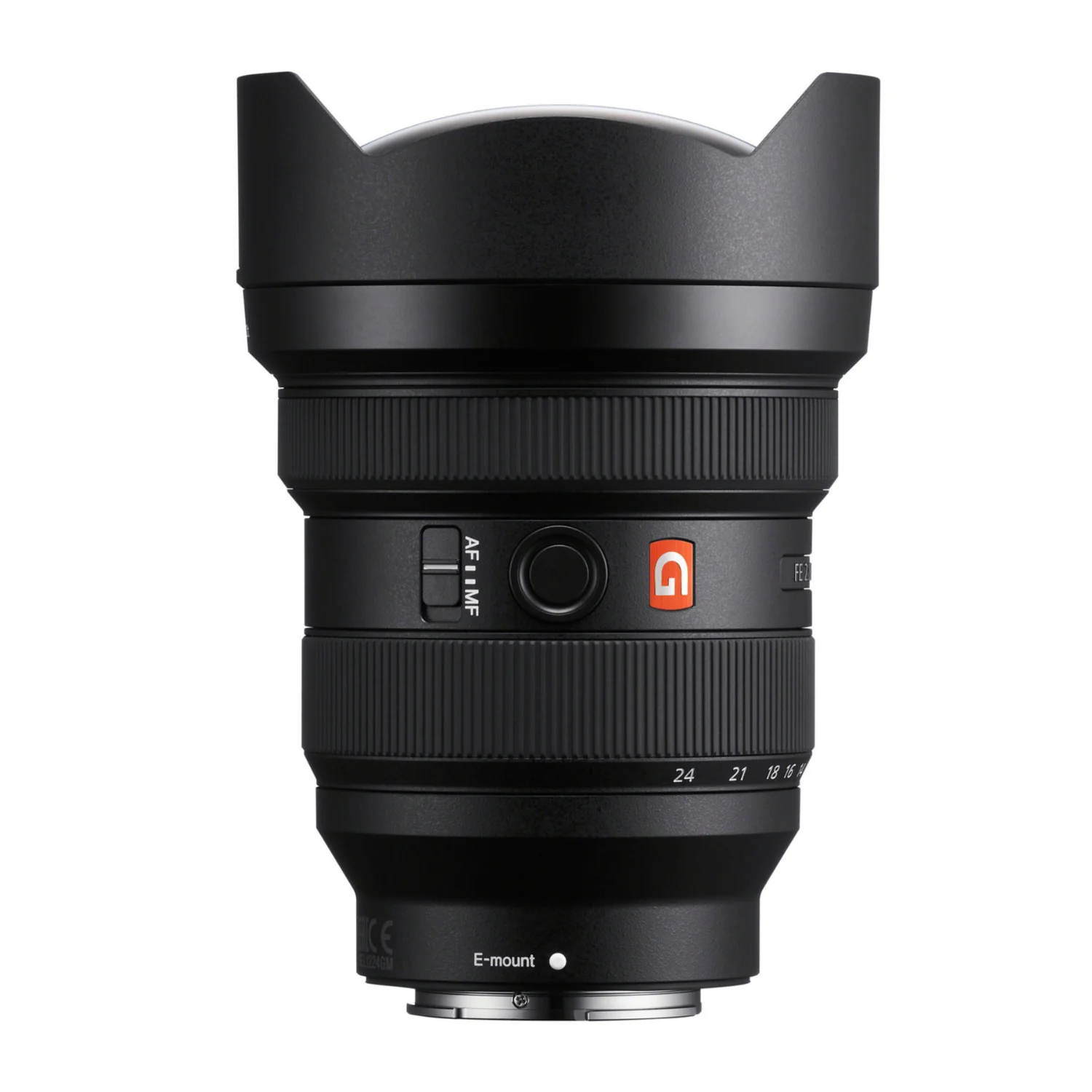 Sony FE 12-24mm f/2.8 G Master Full-Frame Ultra-Wide Zoom Lens (Black) with Weatherproof Hard Case - Image 2