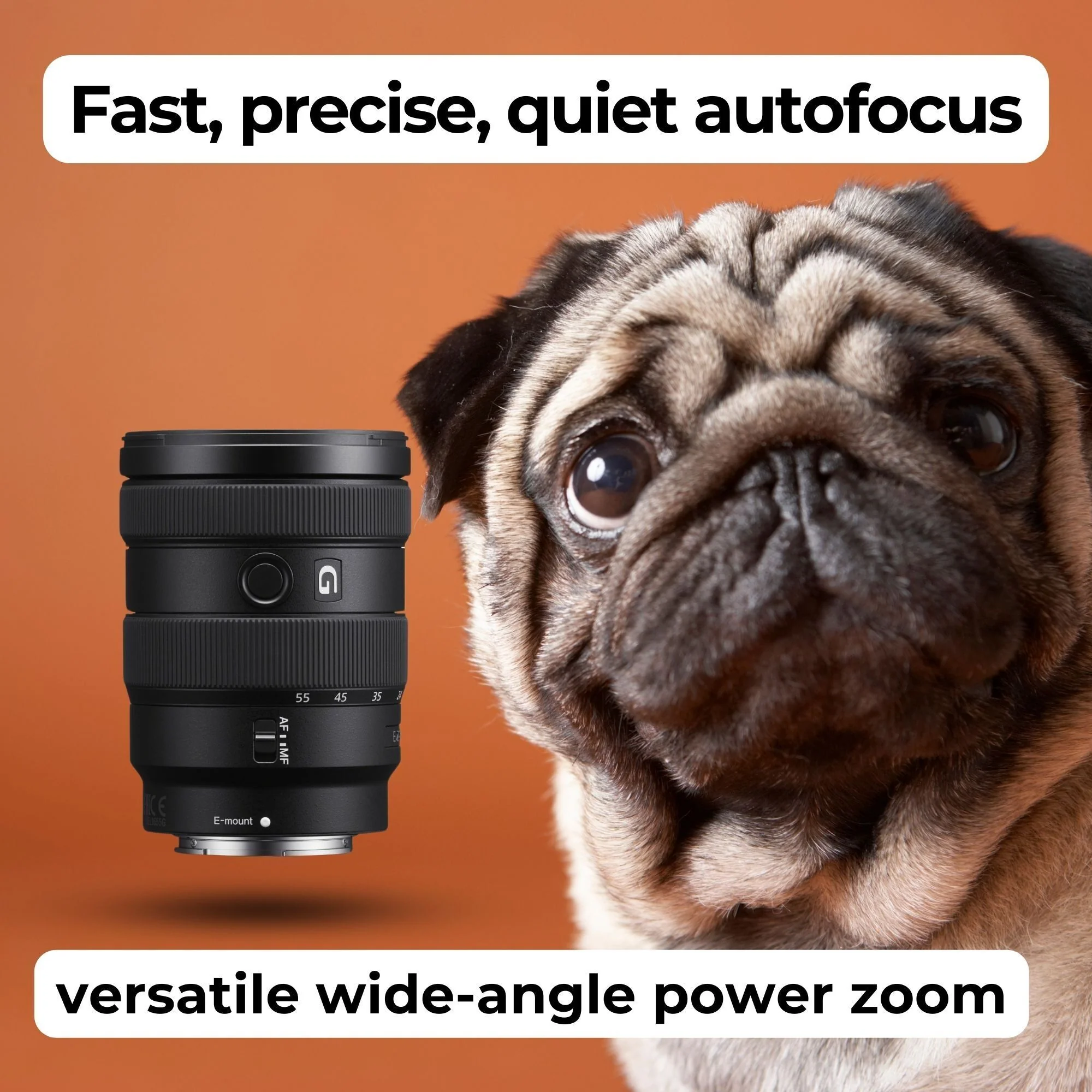 Sony E 16-55mm F2.8 G APS-C Wide-angle Zoom G Lens with 64GB Memory Card, Editing Software Bundle - Image 4