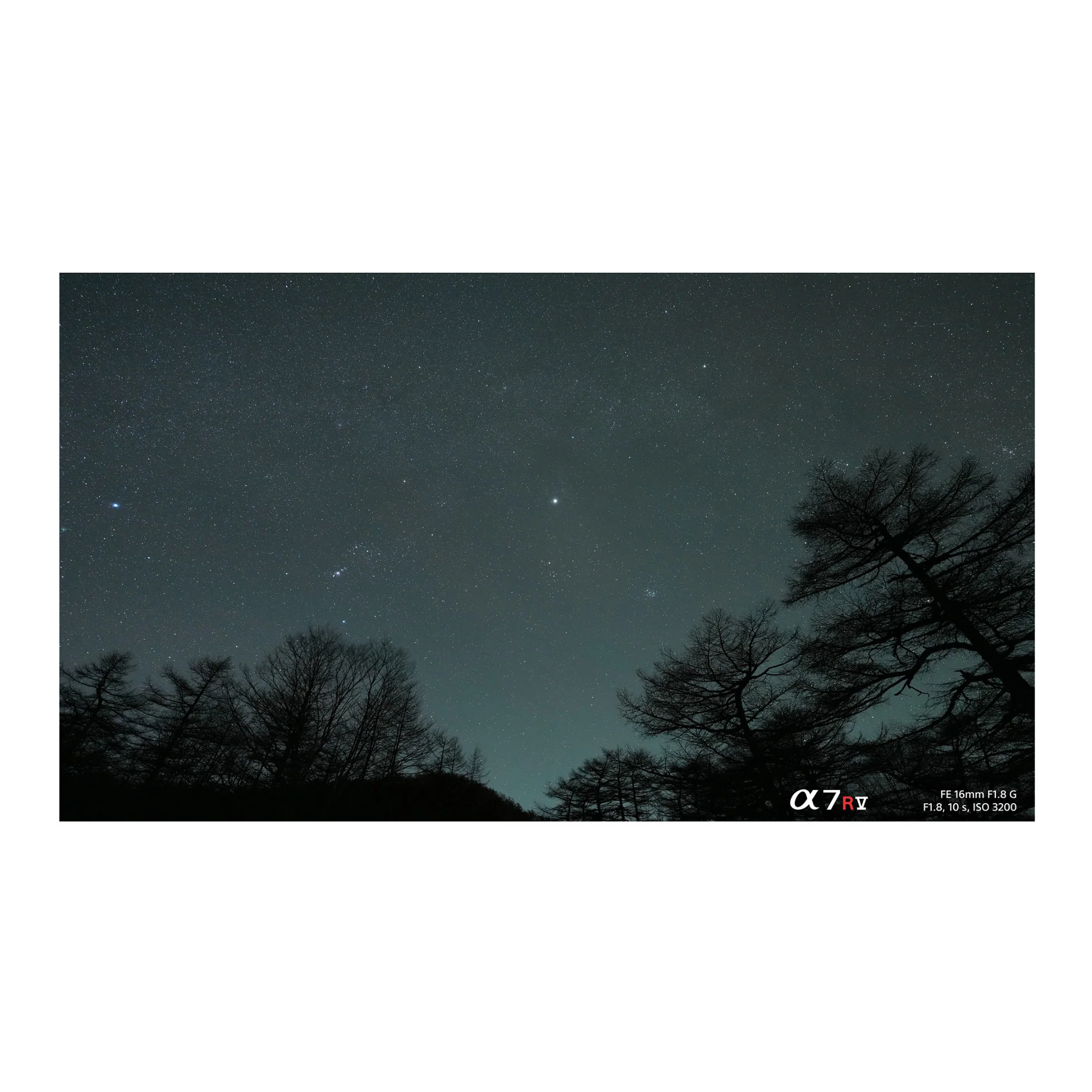 Sony FE 16mm f/1.8 G Lens - Image 11