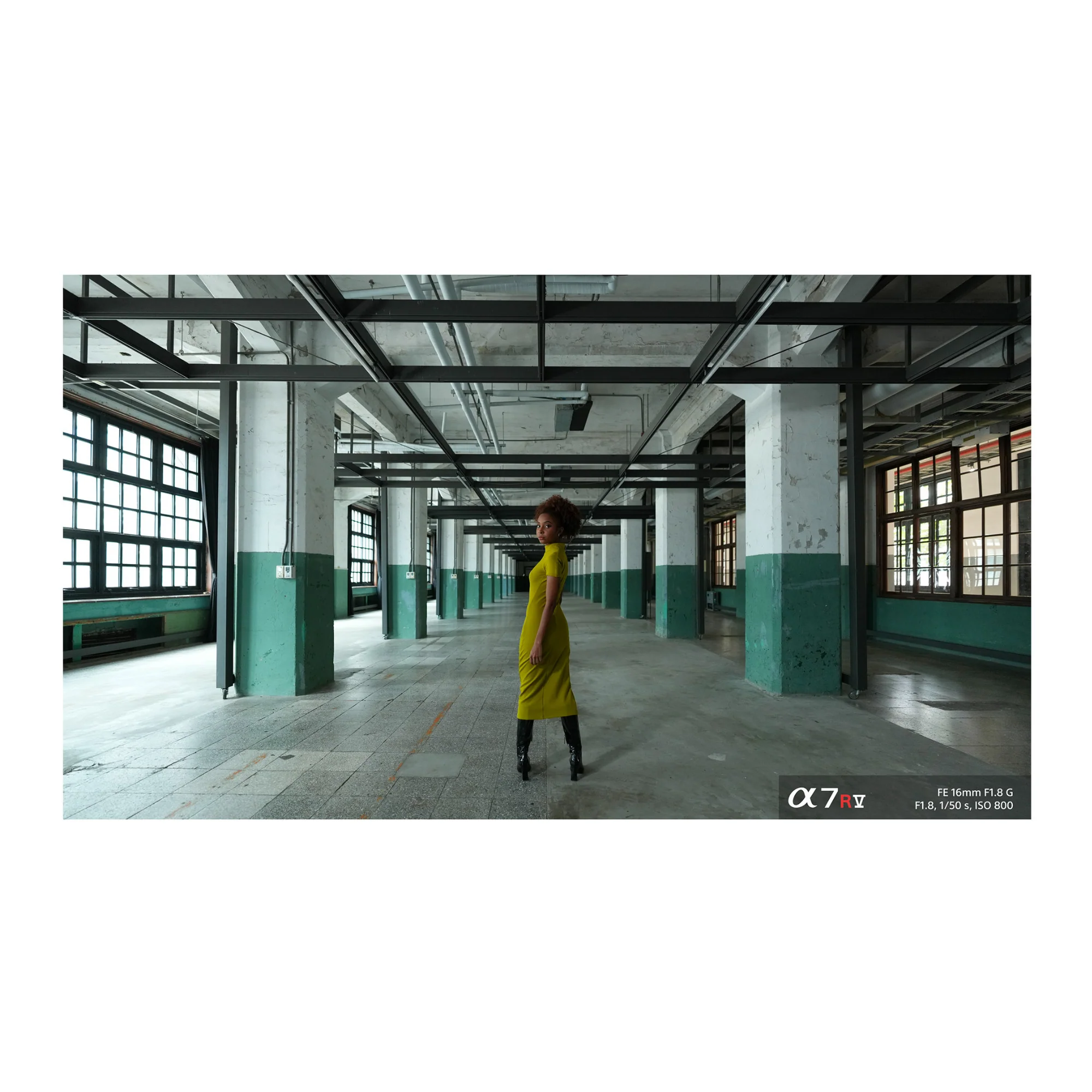 Sony FE 16mm f/1.8 G Lens - Image 9