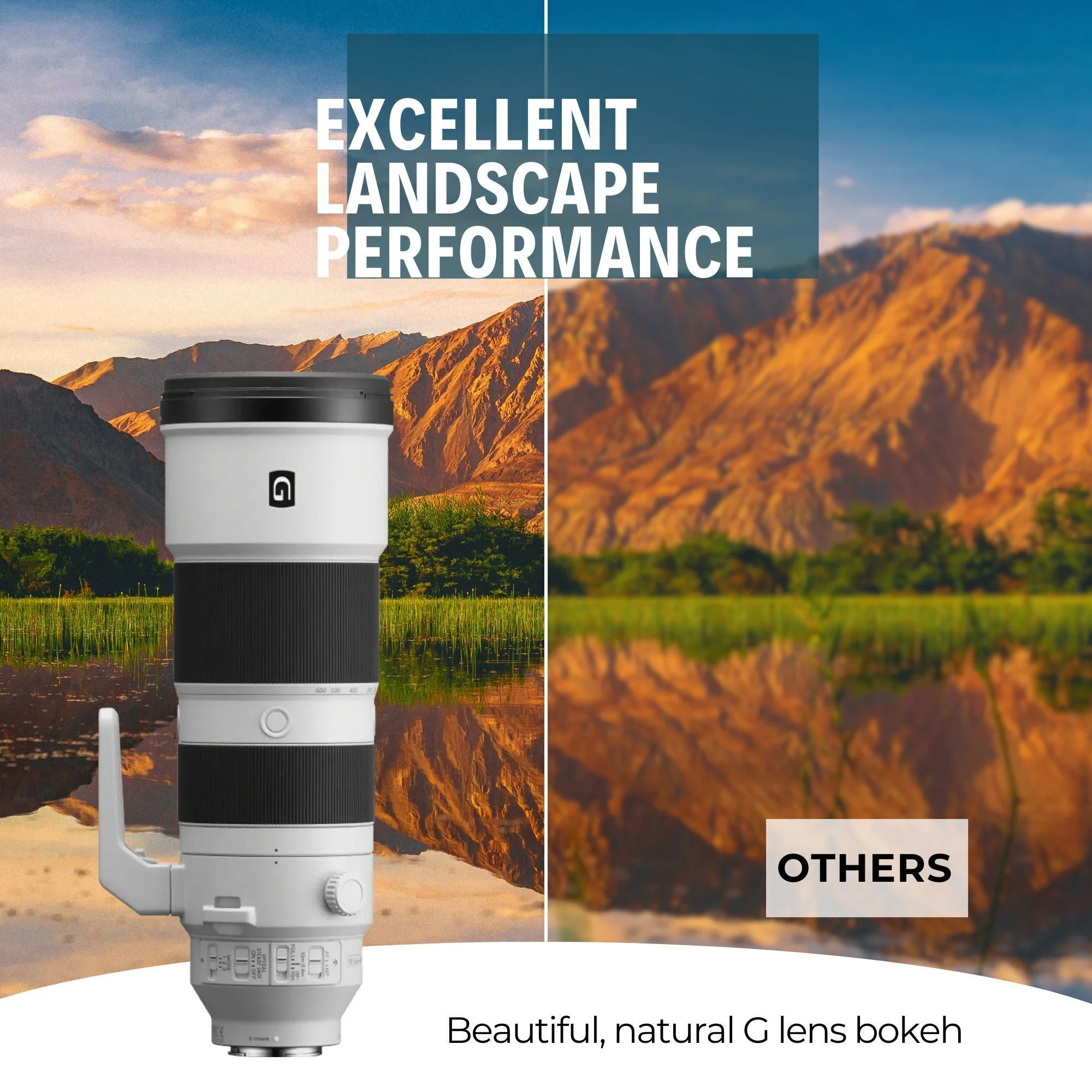 Sony FE 200-600mm f/5.6-6.3 G OSS Super Telephoto Zoom Lens with 64GB Memory Card Bundle - Image 4
