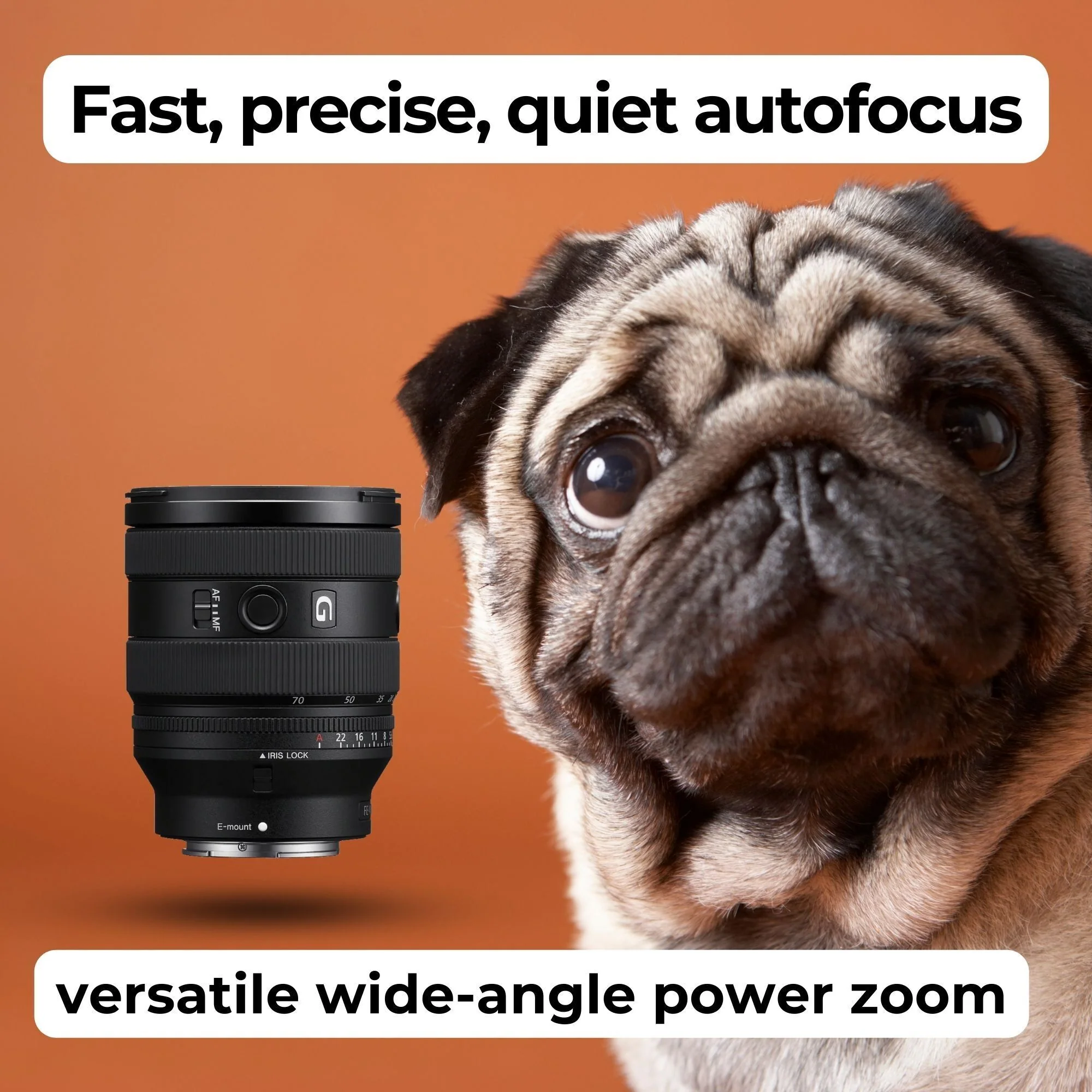 Sony FE 20-70mm F4 G Compact Zoom Lens with 64GB Memory Card, Editing Software, Camera Case Bundle - Image 4