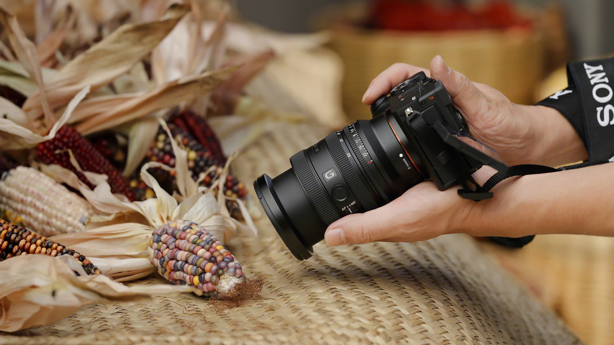 Sony FE 24-50mm F2.8 G Compact Lightweight Standard Zoom Lens with Large F2.8 Constant Aperture - Image 9