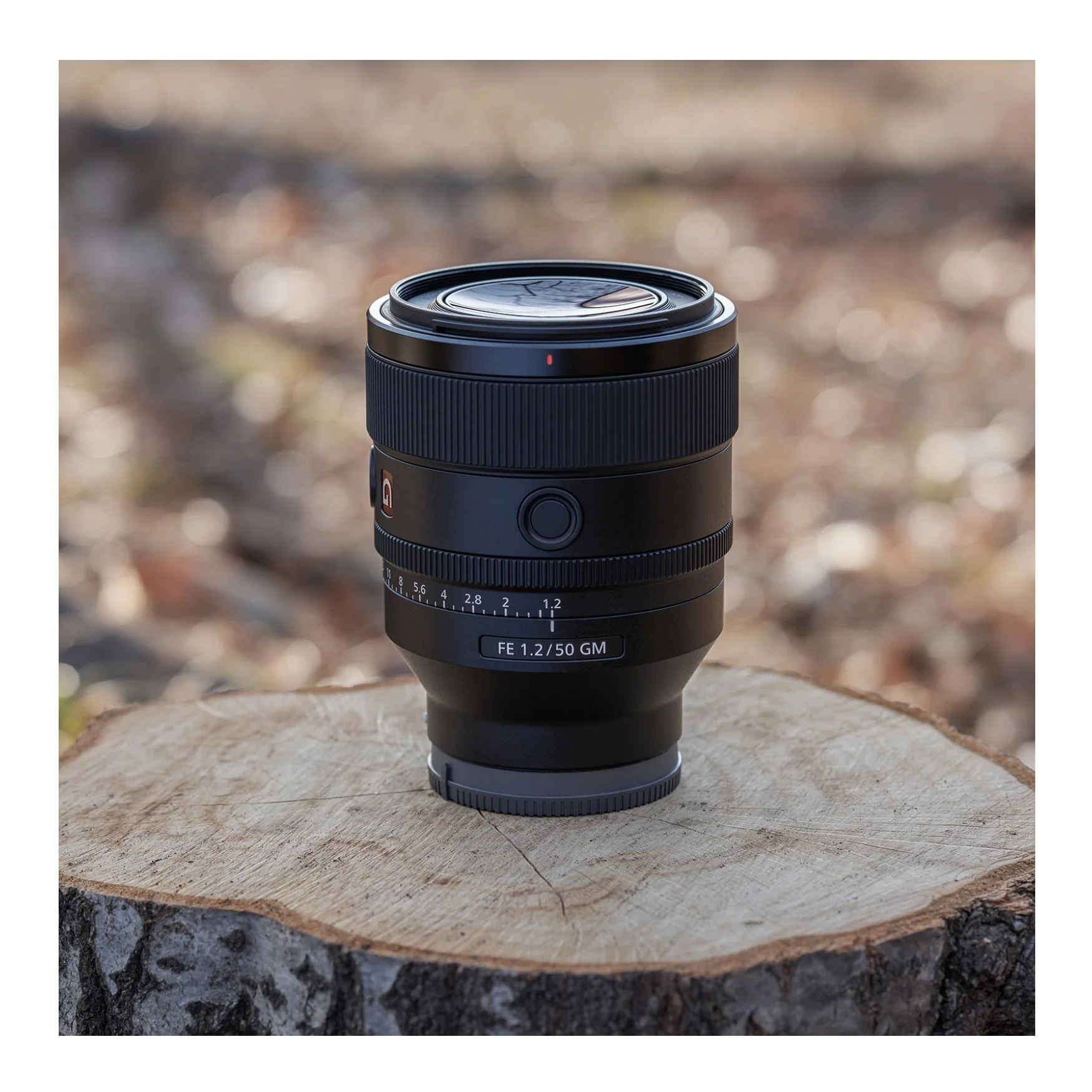 Sony FE 50mm f/1.2 GM Full-Frame G Master Lens with Editing Software, 64GB Memory Card Bundle - Image 7