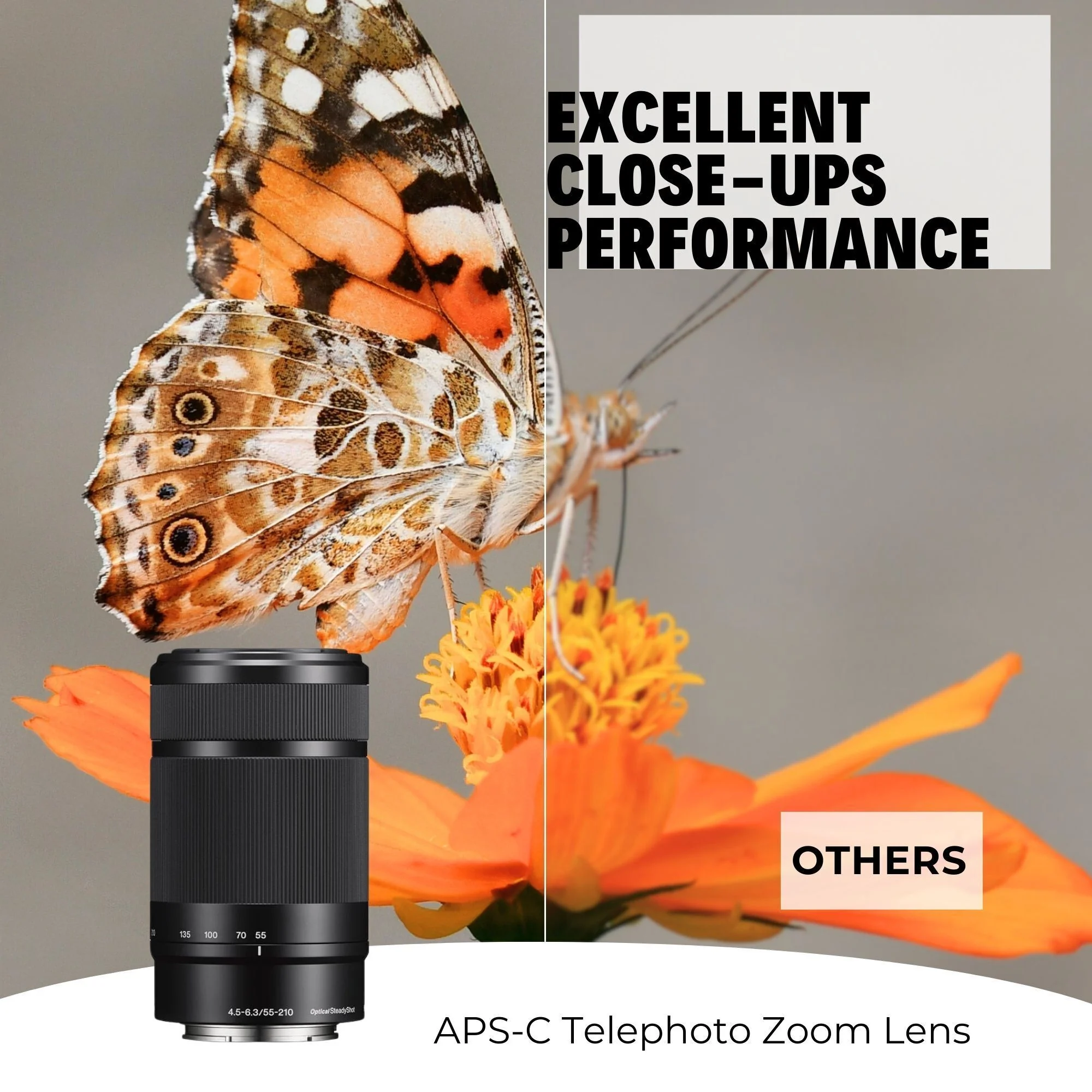 Sony 55-210mm Telephoto Lens with 64GB Memory Card, Editing Software, Camera Mug, and SD Card Reader - Image 3