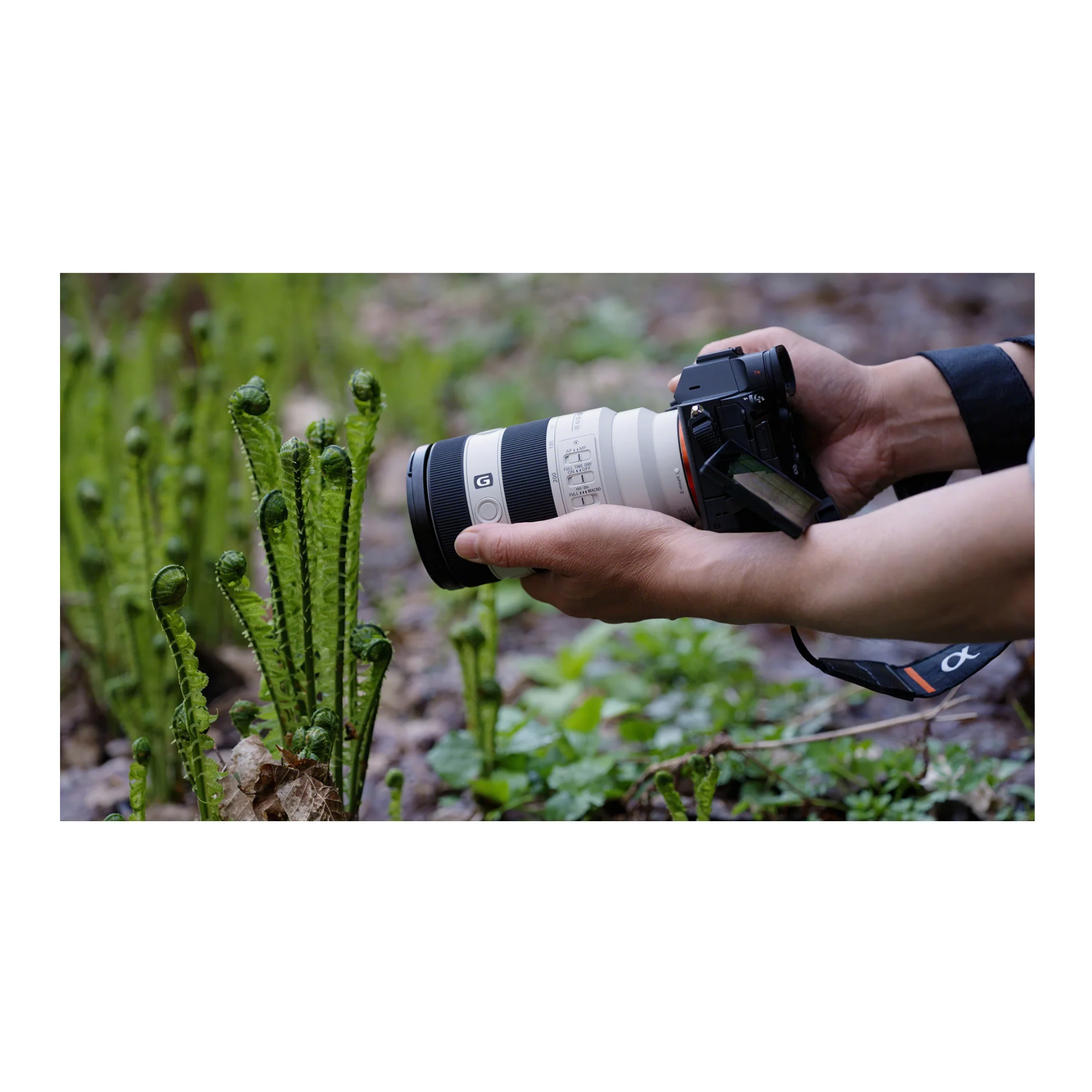 Sony FE 70-200mm F4 Macro G OSS II Full-Frame Compact Telephoto Zoom Lens - Image 17