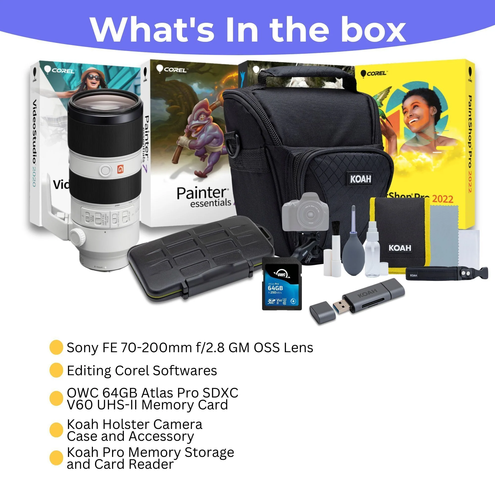 Sony FE 70-200mm f/2.8 GM OSS Lens - Fast Telephoto Zoom with 64GB SD Card, Editing Software Bundle - Image 5