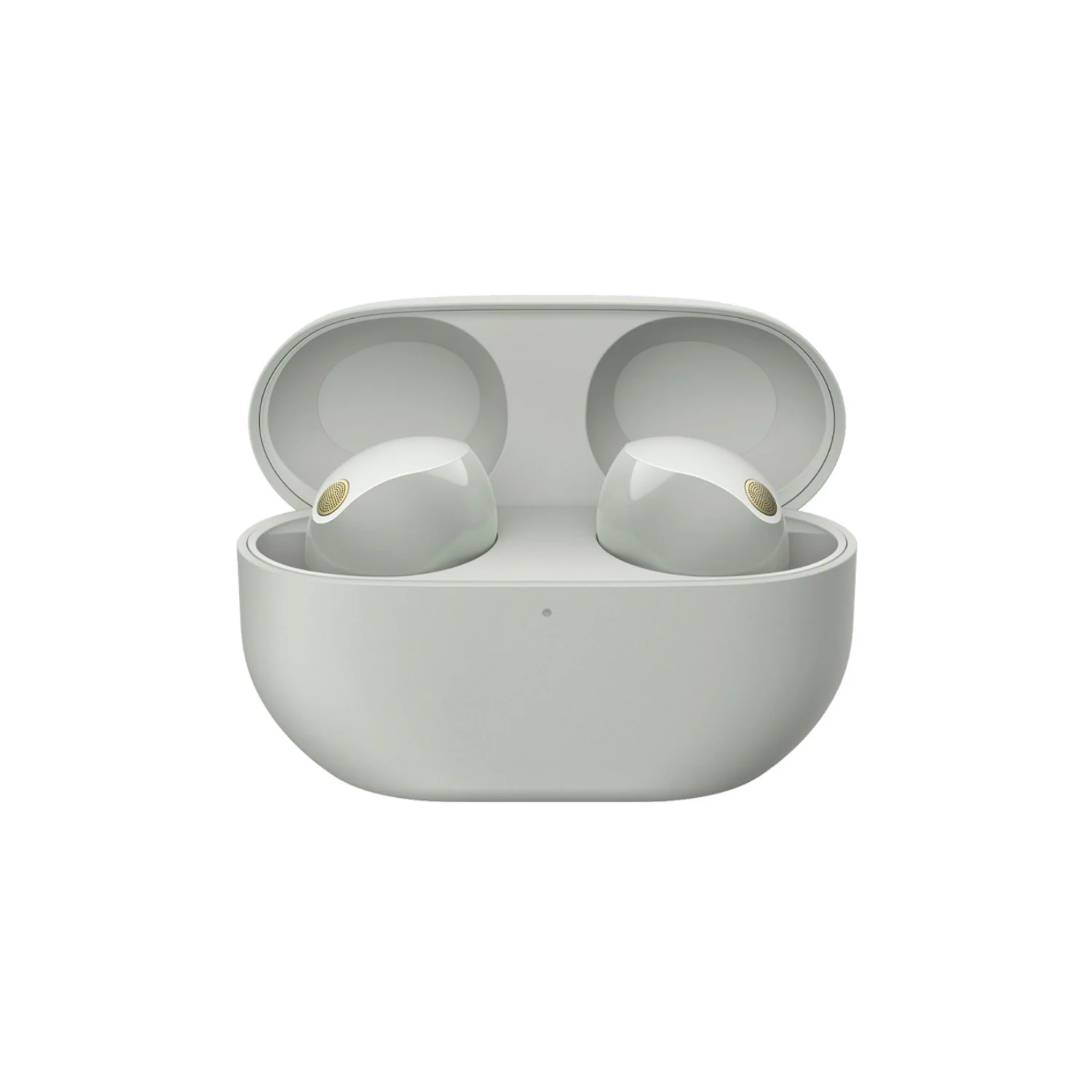 Sony WF-1000XM5 Truly Wireless Noise Canceling Earbuds (Silver) with Earbuds Accessory - Image 2