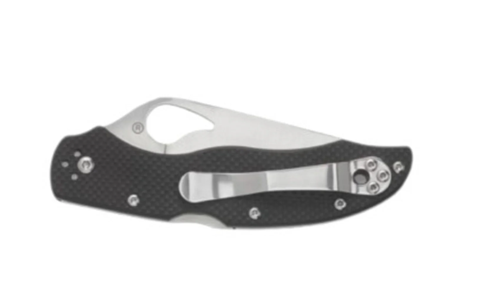 Spyderco Byrd Knife Harrier 2 - Image 3