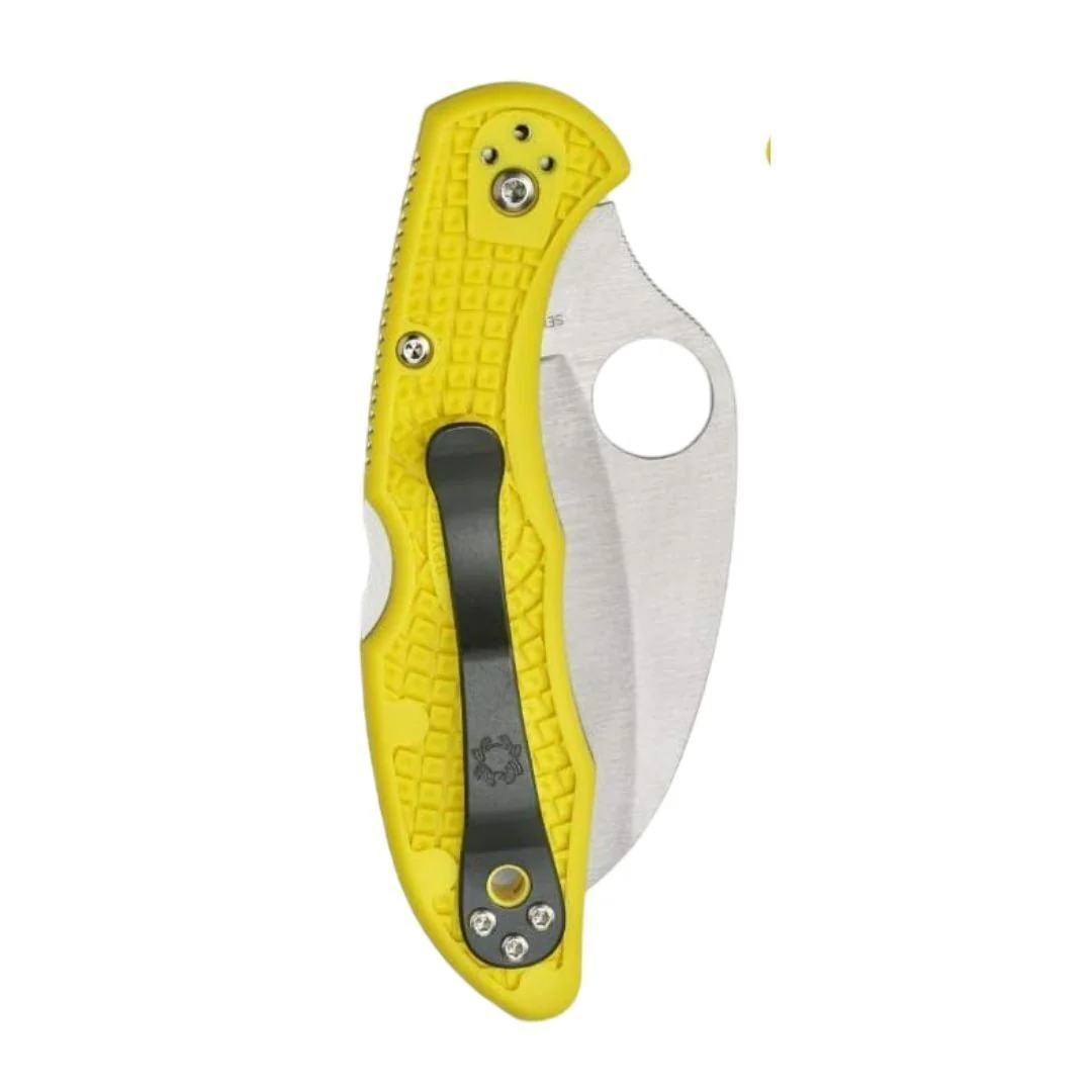 Spyderco Folding Knife Tasman Salt 2 - Image 2