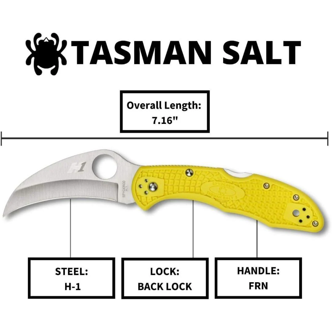 Spyderco Folding Knife Tasman Salt 2 - Image 5