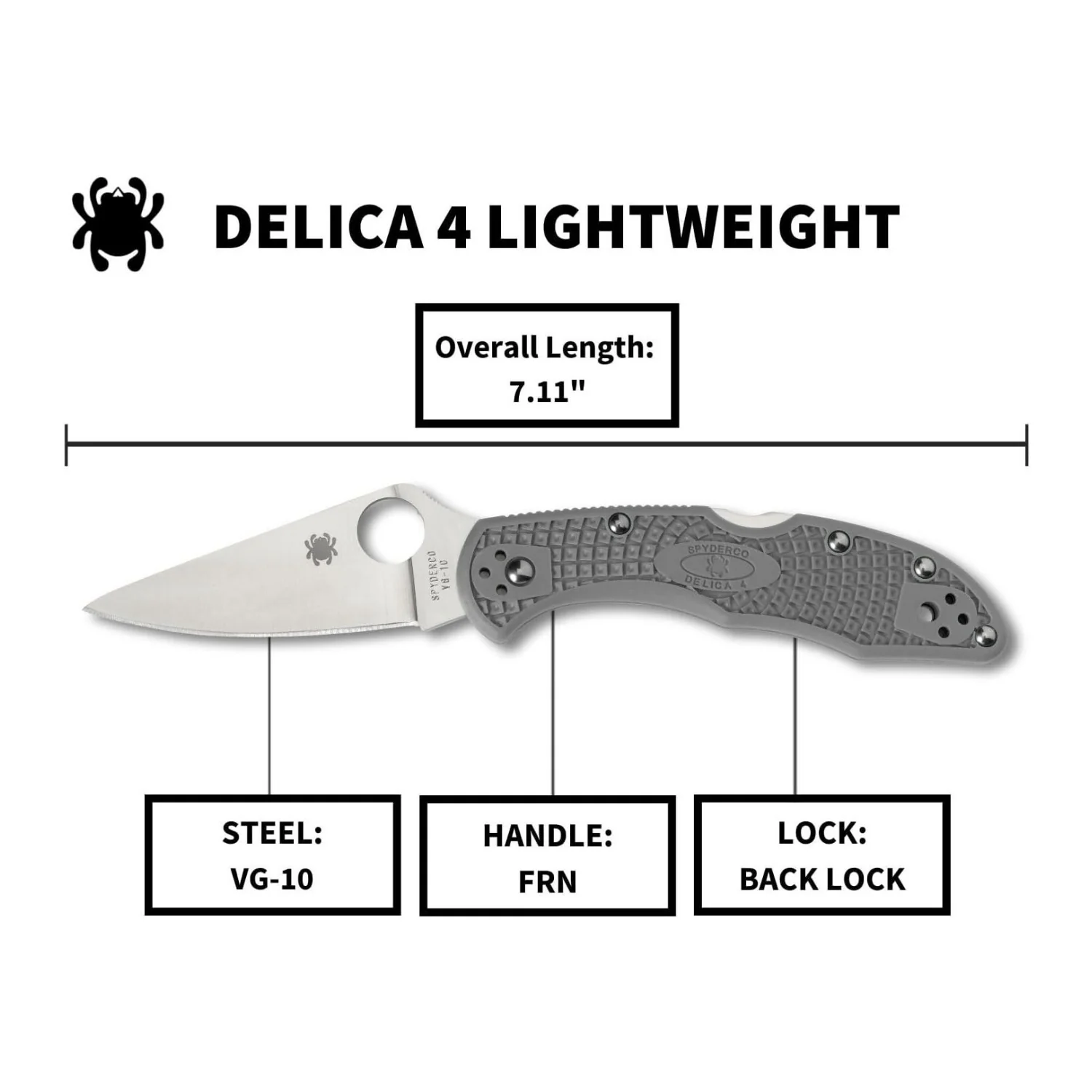 Spyderco Delica 4 Lightweight 7.15 Inch PlainEdge Signature Gray Folding Knife - Image 4