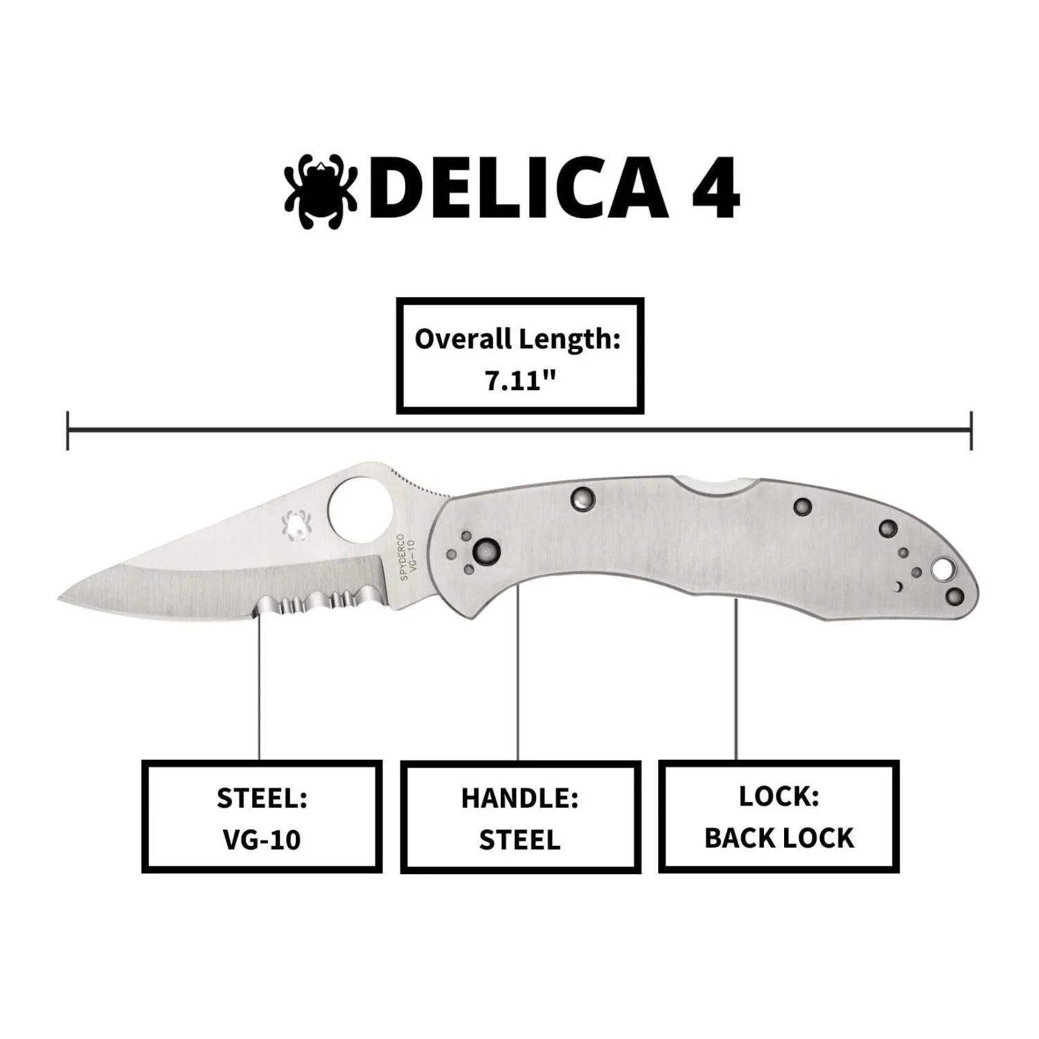 Spyderco Delica 4 Signature Knife with 2.95 Inch VG-10 Steel Blade and Stainless Steel Handle - Image 5