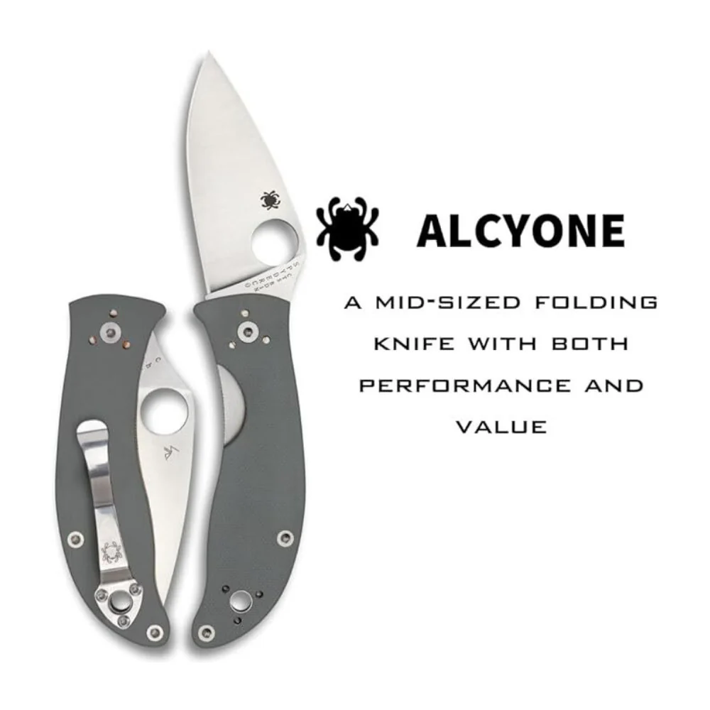 Spyderco Alcyone Gray Folding Knife with CTS BD1 PlainEdge Steel Blade - Image 2