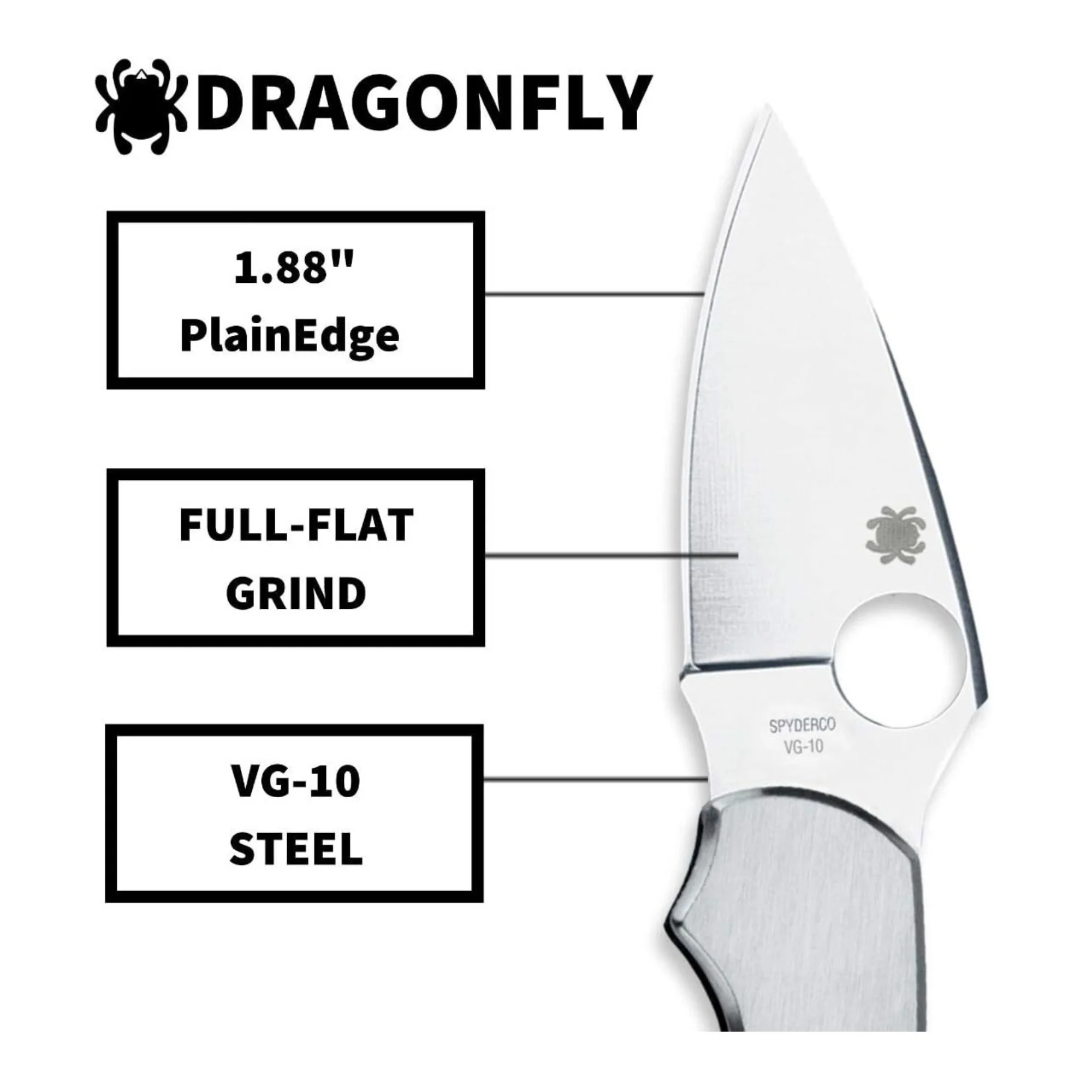Spyderco Dragonfly Folding Knife - VG-10 PlainEdge Blade, Stainless Steel Handle, Back Lock - Image 6