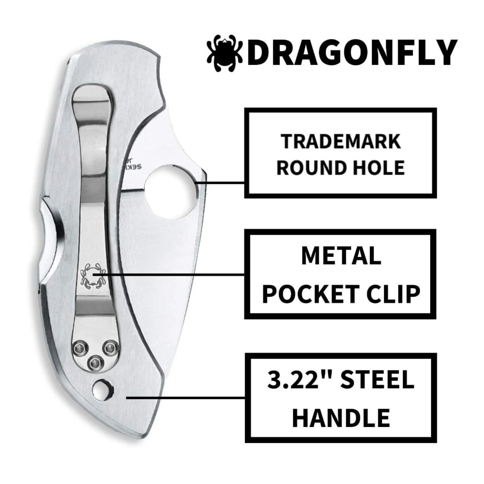 Spyderco Dragonfly Folding Knife - VG-10 PlainEdge Blade, Stainless Steel Handle, Back Lock - Image 7