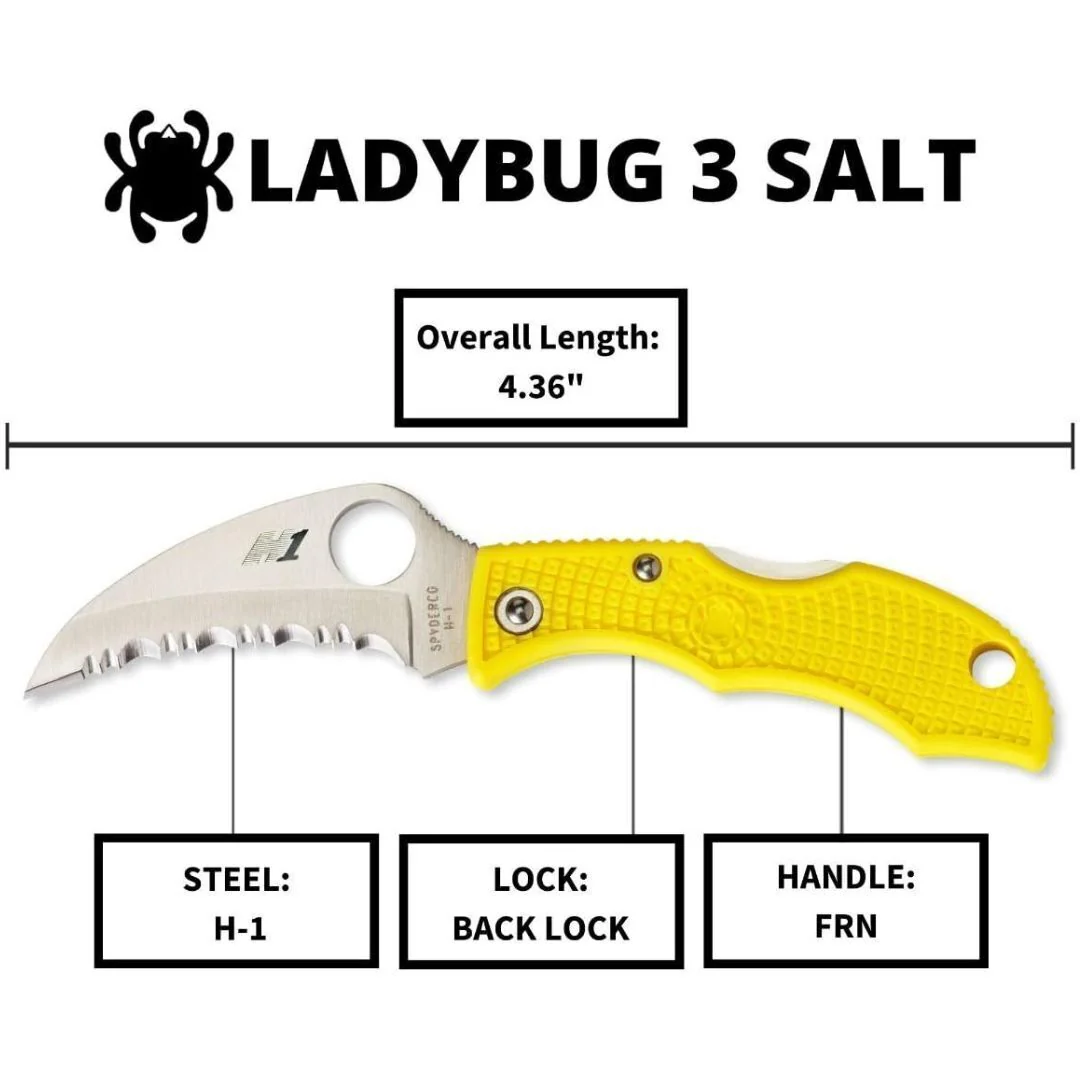 Spyderco Folding Knife Ladybug 3 Salt - Image 4