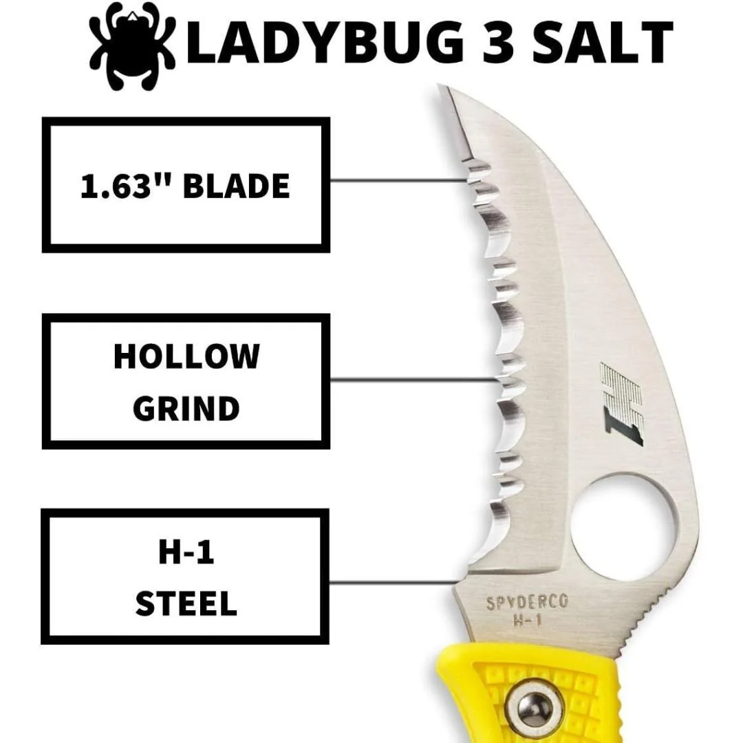 Spyderco Folding Knife Ladybug 3 Salt - Image 5