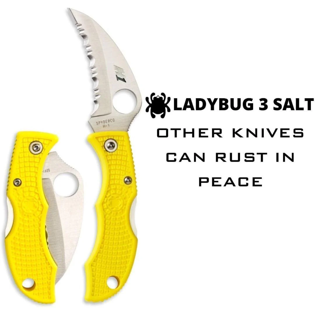 Spyderco Folding Knife Ladybug 3 Salt - Image 6