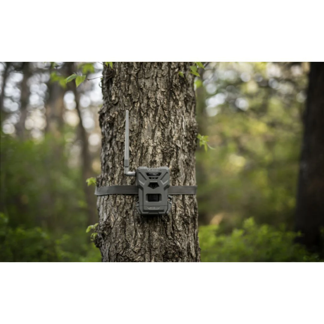 Spypoint FLEX-M Trail Camera Bundle with SPLB Solar Panel and Accessories - Image 7