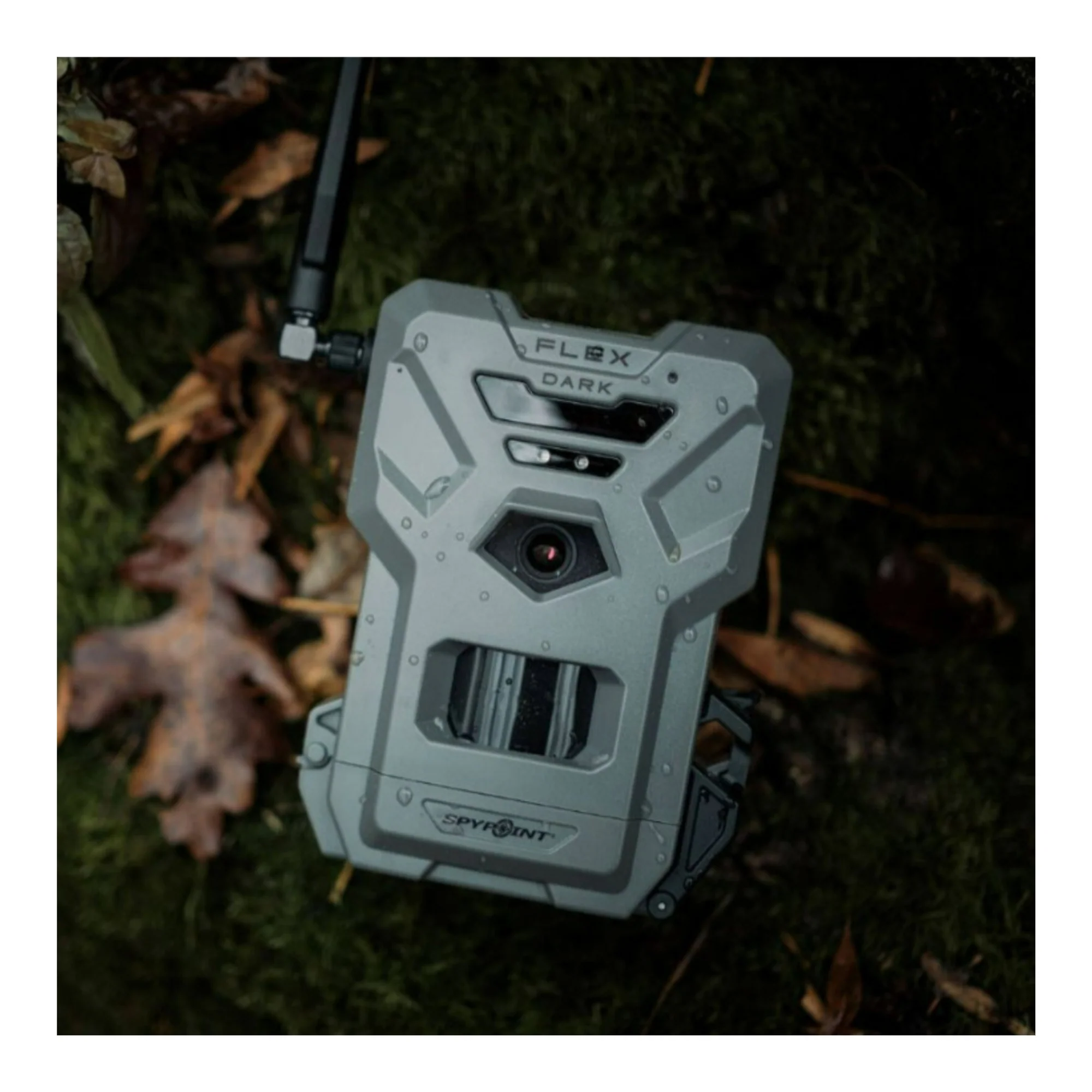 Spypoint Flex-Dark Trail Camera (2-pack) with 2 x 10W Battery 2 x Solar Panel 2 x 32GB SDCard Bundle - Image 9