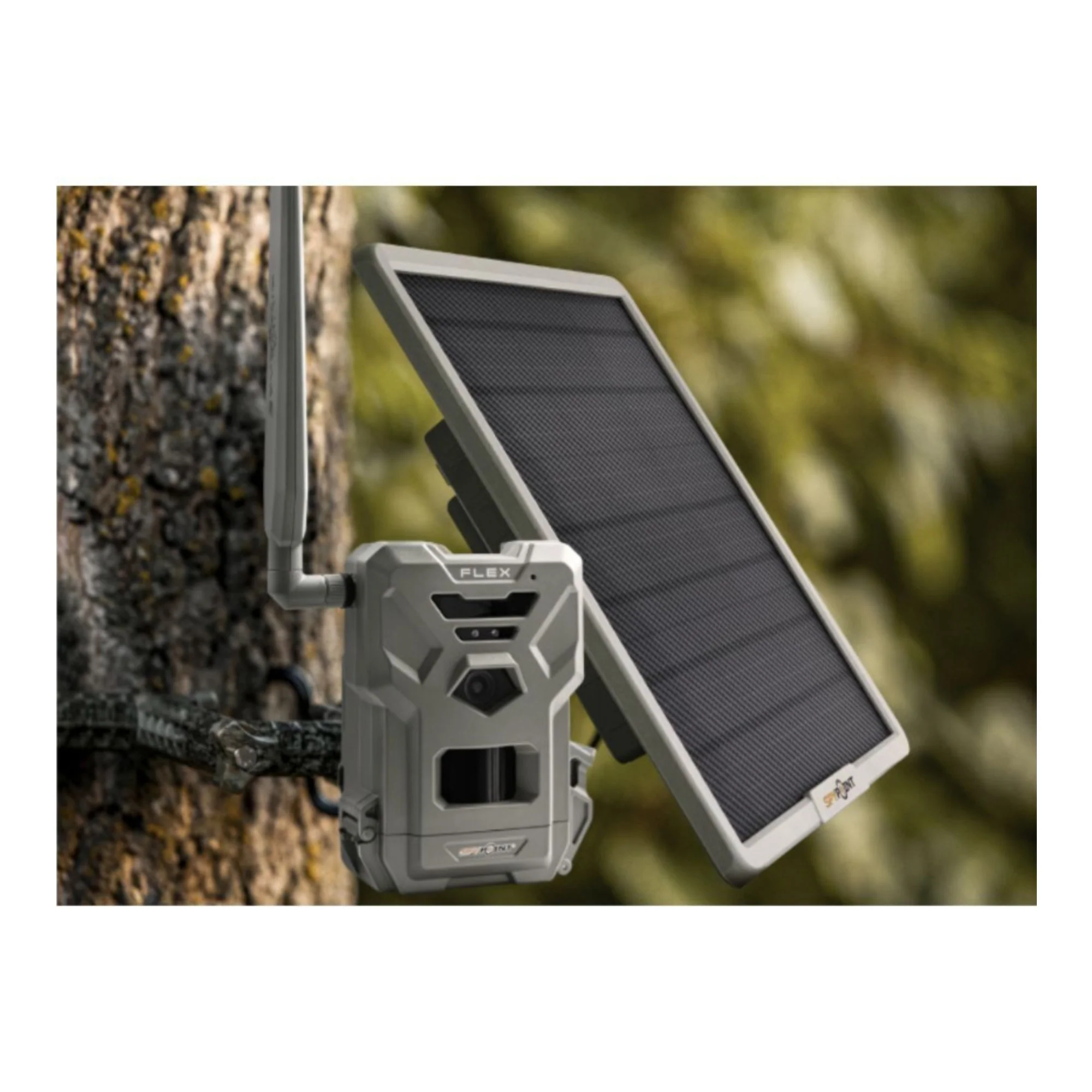 Spypoint Flex-Dark Trail Camera with 2 x 10W Battery 2 x Solar Panel 2 x 32GB SD Card Bundle - Image 13