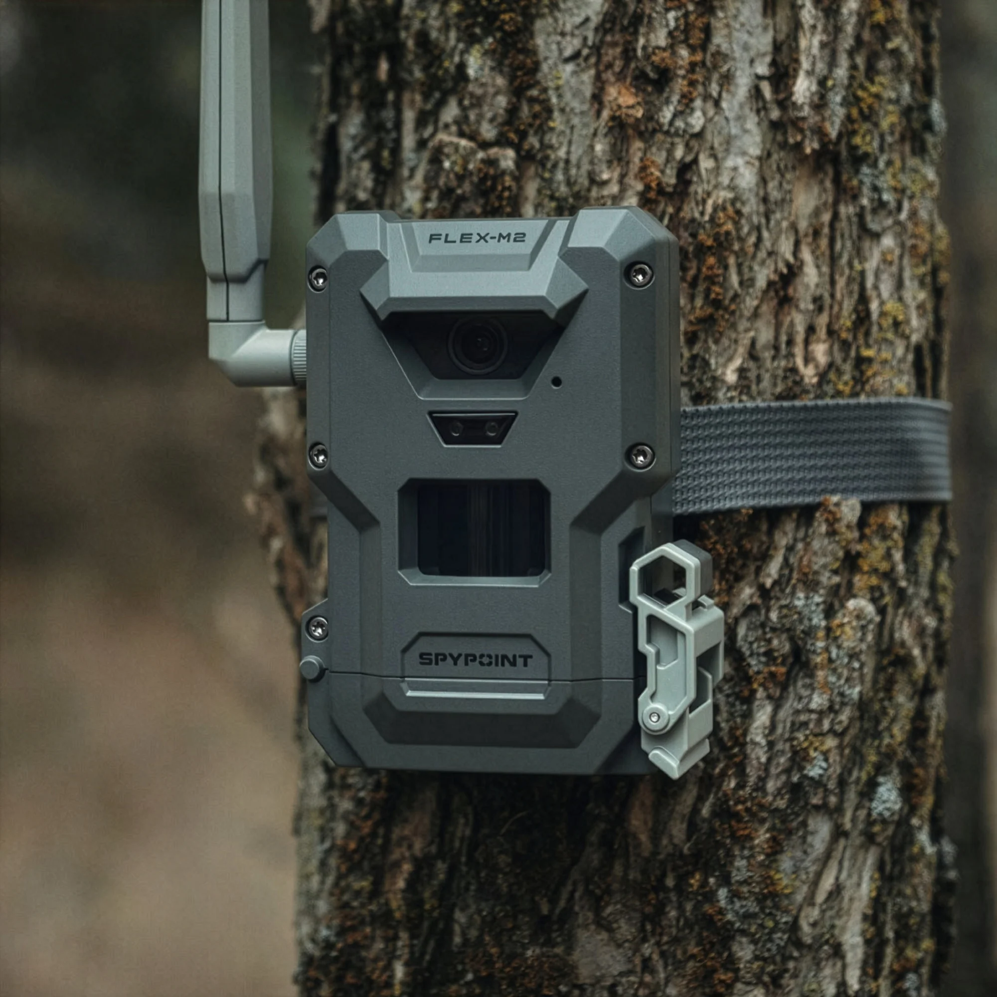 Spypoint FLEX-M2 Trail Camera with 32MP and 90ft Detection Range - Image 2