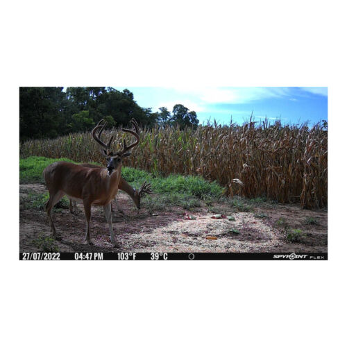Spypoint FLEX Cellular 33MP, 1080P, Dual-sim Configuration Trail Camera (Gray) - Image 7