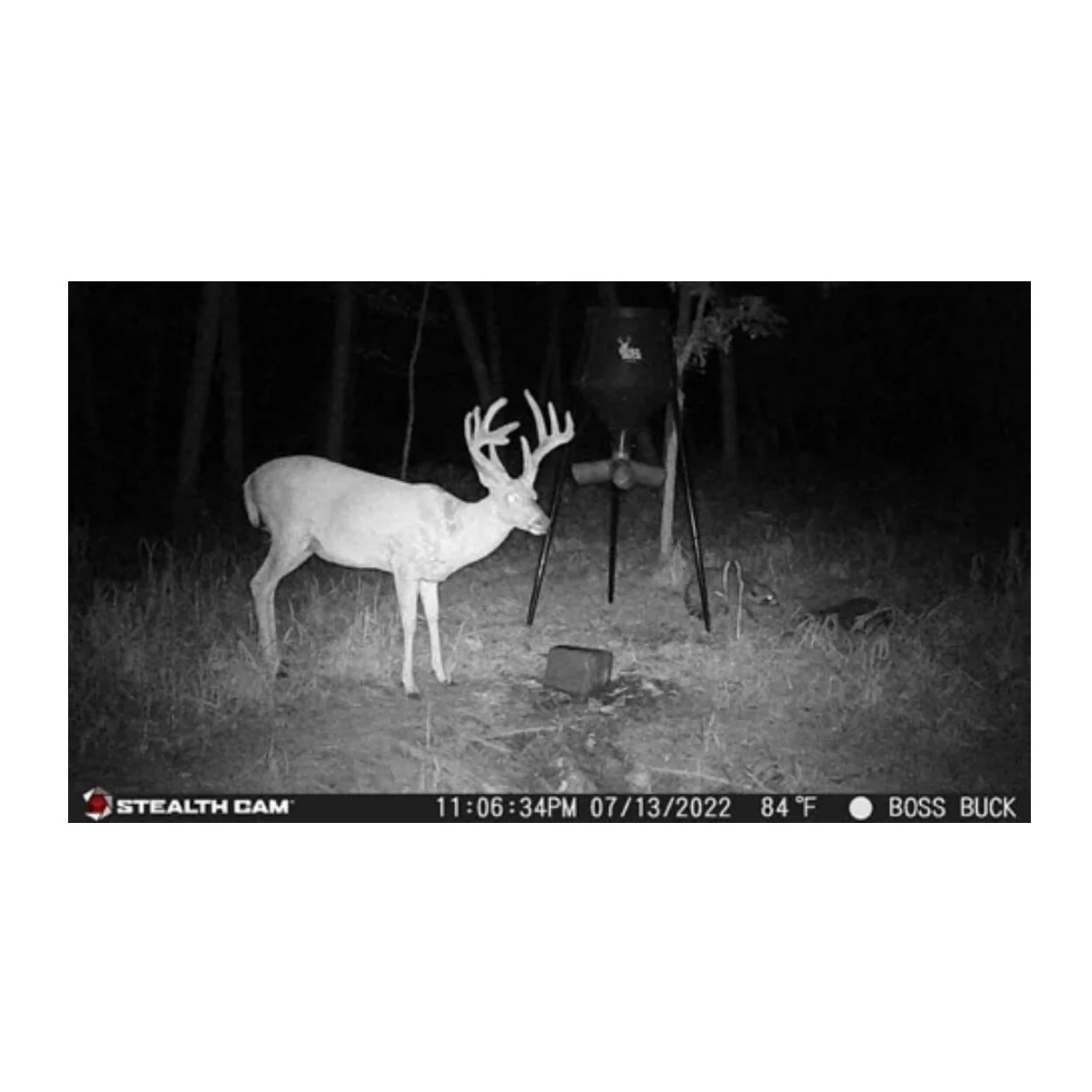 Stealth Cam G42NG No-Glo Trail Camera 4-Pack Ready-to-Go Accessory Bundle - Image 8