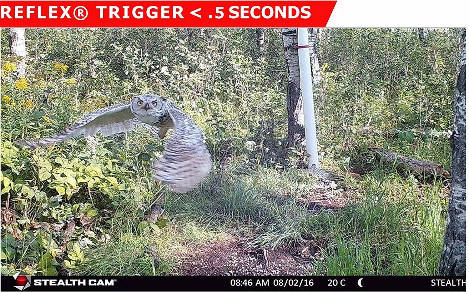 Stealth Cam 2022 G42NG 32MP No Glow Trail Cameras, Kryptek, & Cards Kit (6-Pack) - Image 8