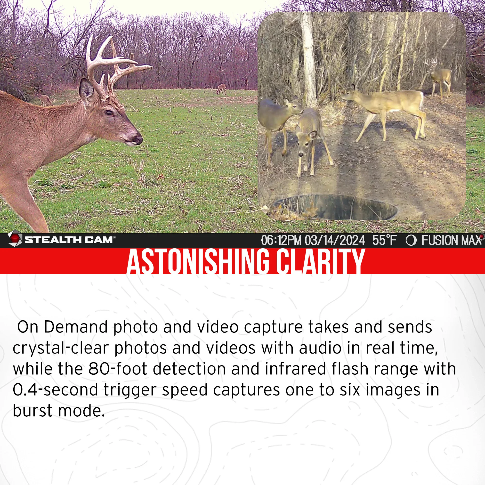 Stealth Cam 36MP Fusion Max Cellular Trail Camera with 80-Feet Detection Range (2-Pack) Bundle - Image 3