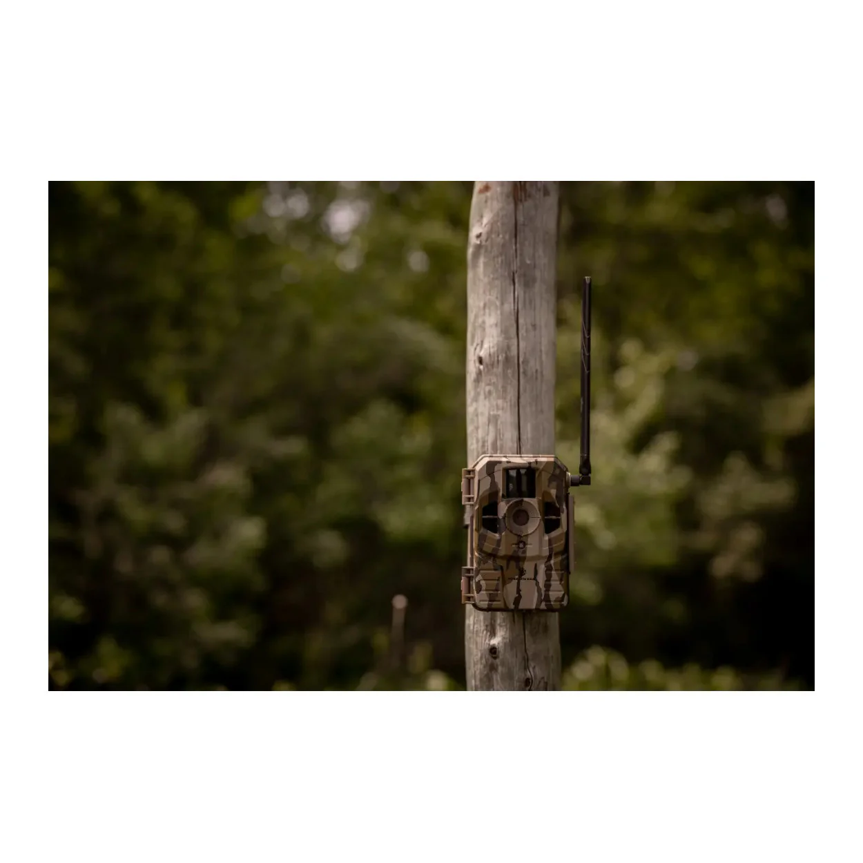 Stealth Cam Connect Cellular Trail Camera (AT&T) - Image 3