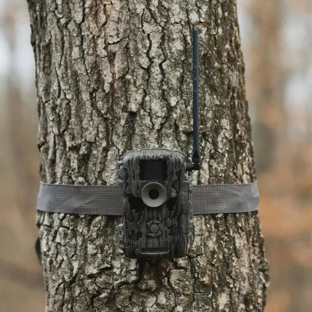 Stealth Cam 36MP Fusion Max Cellular Trail Camera with 80-Feet Detection Range (2-Pack) - Image 7