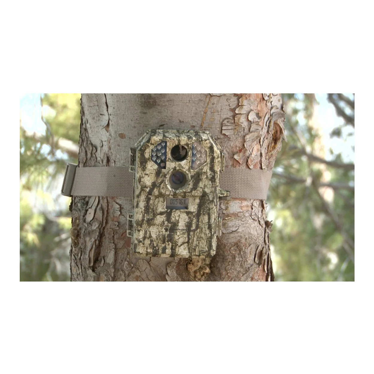 Stealth Cam P18 7MP Compact Trail Camera with Batteries and Card - Image 2
