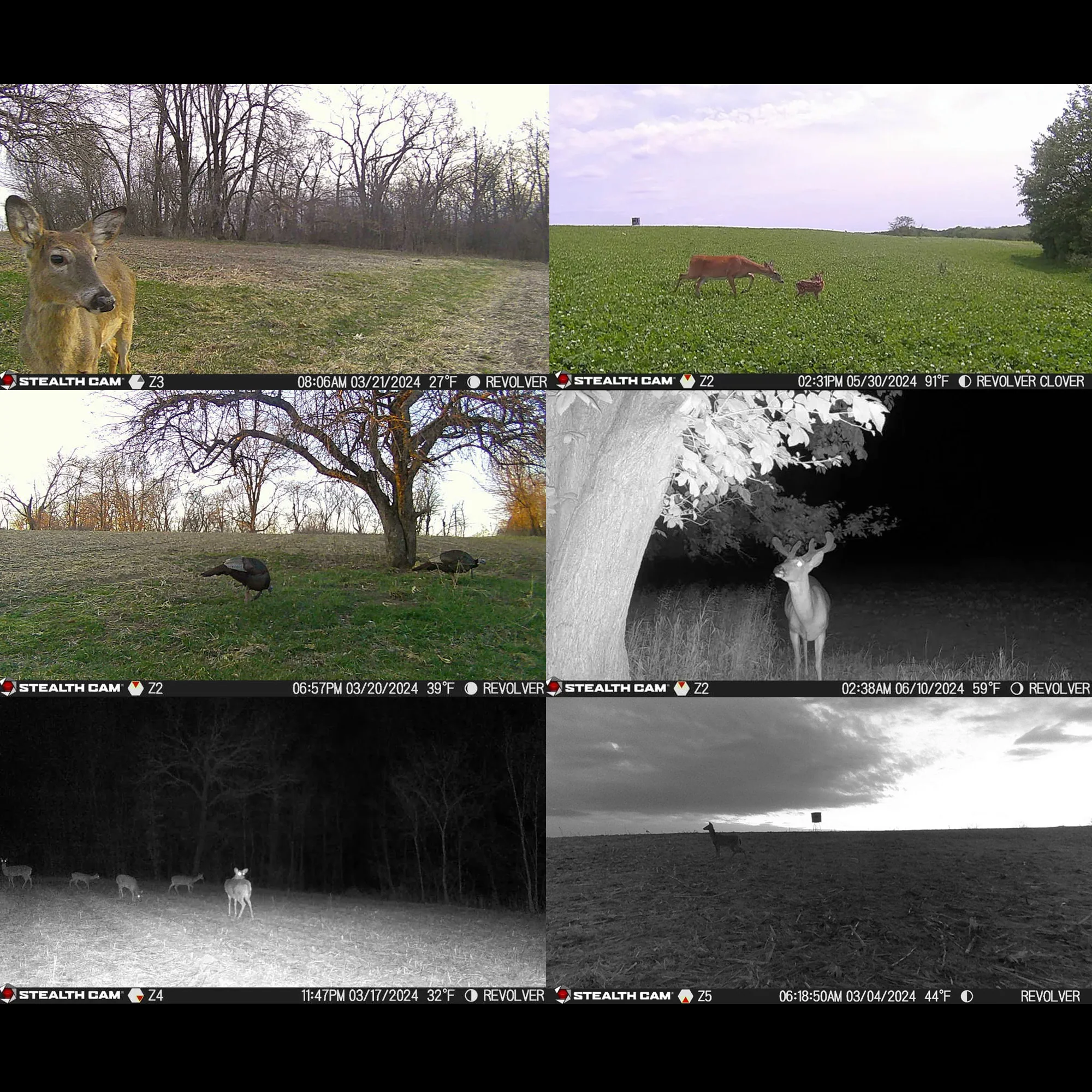 Stealth Cam Revolver 36MP 360-Degree Cellular Trail Camera with 1/4-Inch Mount (10-Pack) Bundle - Image 6
