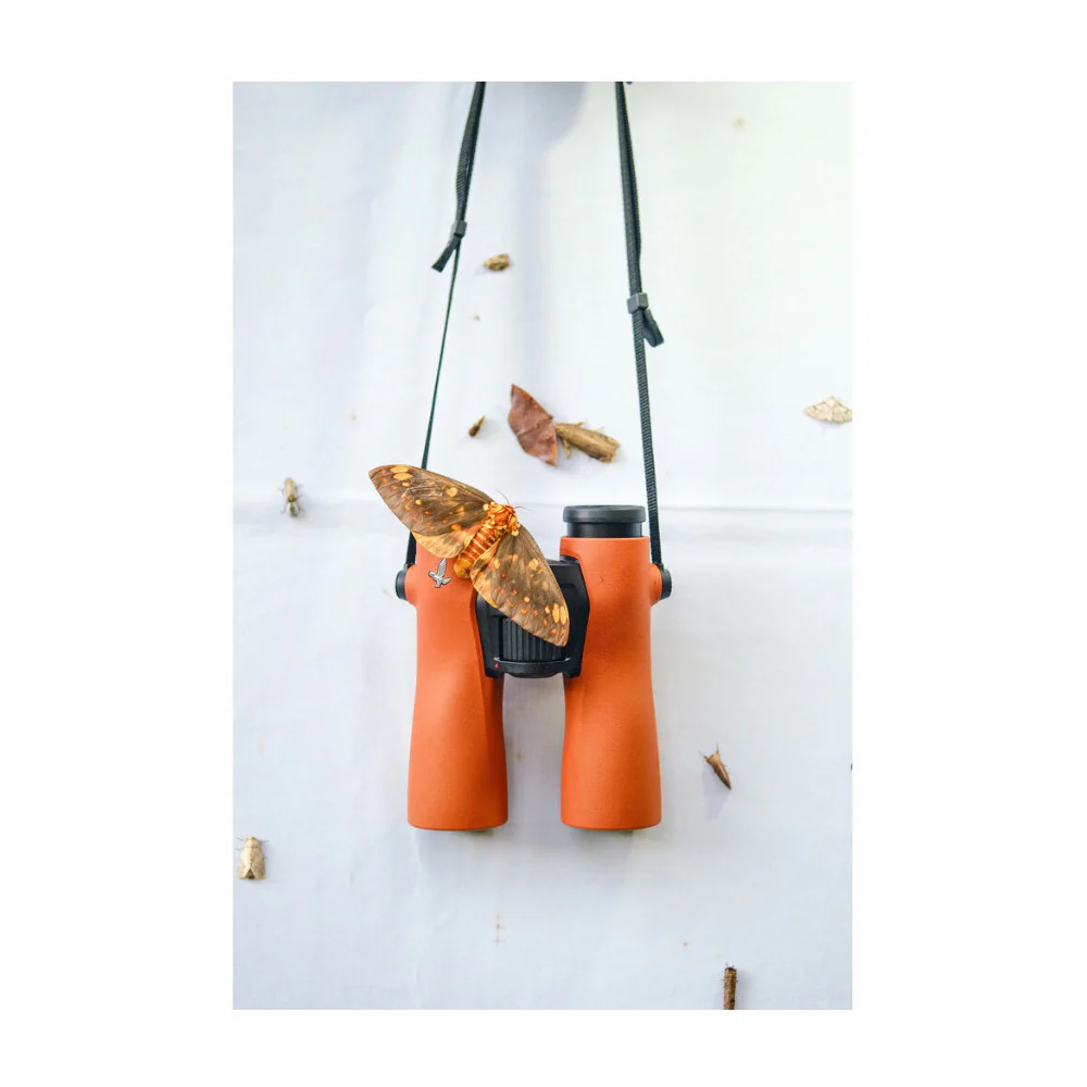 Swarovski NL PURE 8x42 Binoculars with SWAROVISION Technology (Burnt Orange) - Image 7