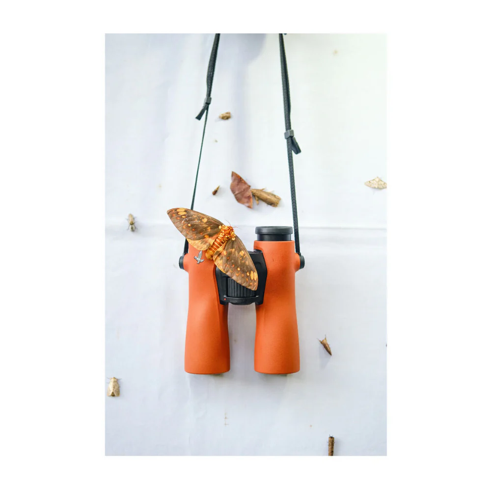 Swarovski NL PURE 12x42 Binoculars with SWAROVISION Technology (Burnt Orange) - Image 7