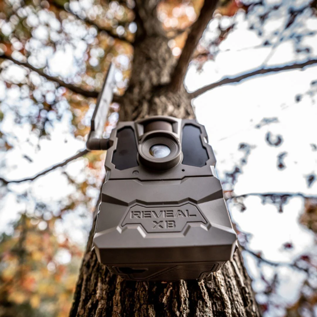 Tactacam Reveal XB Camera with 24 MP Images and Weather-Resistant Body for Remote Cellular Capture - Image 6
