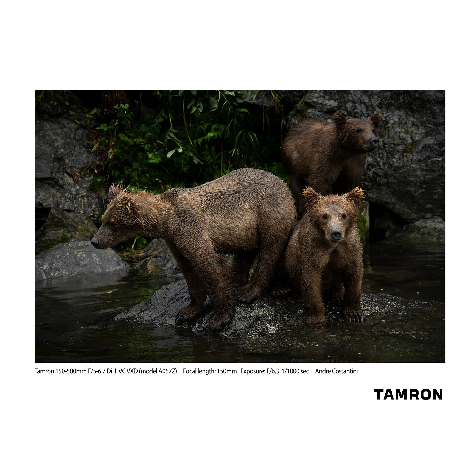 Tamron 150-500mm F/5-6.7 Di III VC VXD Lens for Nikon Z-Mount (Model A057Z) - Image 5