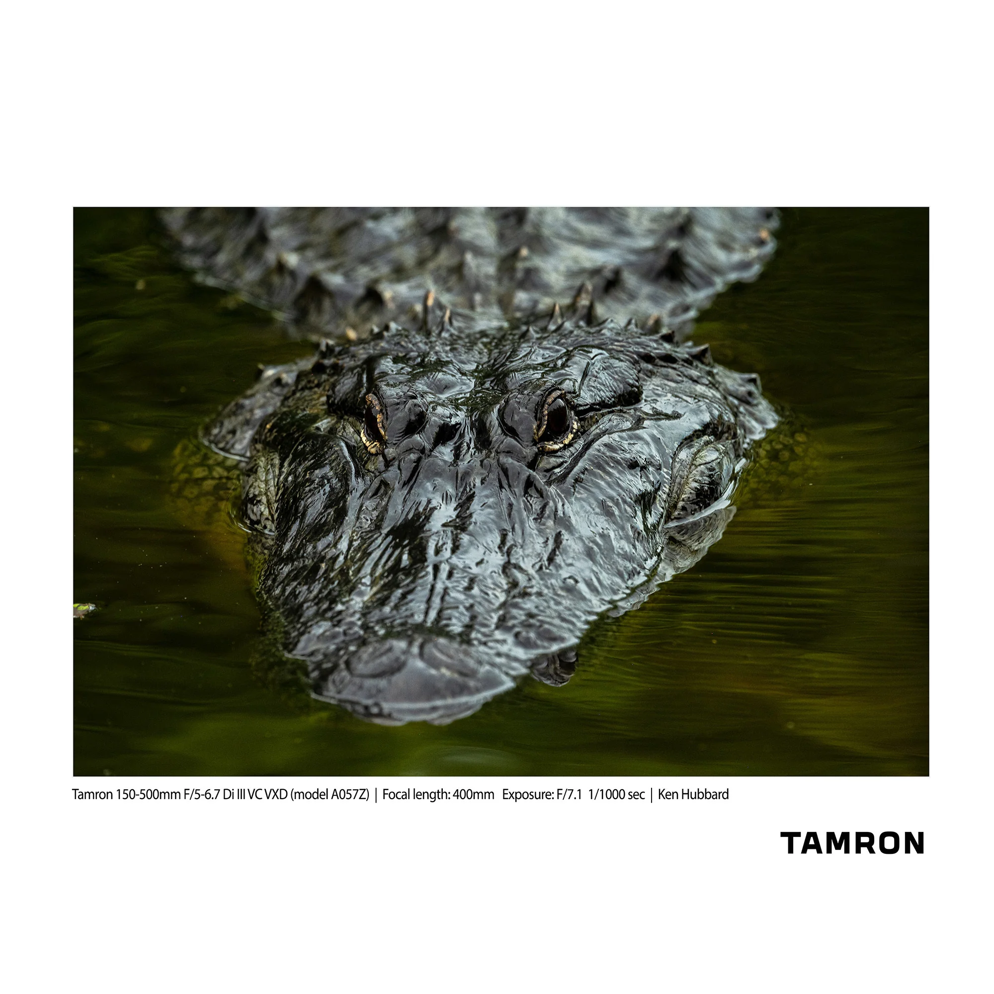 Tamron 150-500mm F/5-6.7 Di III VC VXD Lens for Nikon Z-Mount (Model A057Z) - Image 8