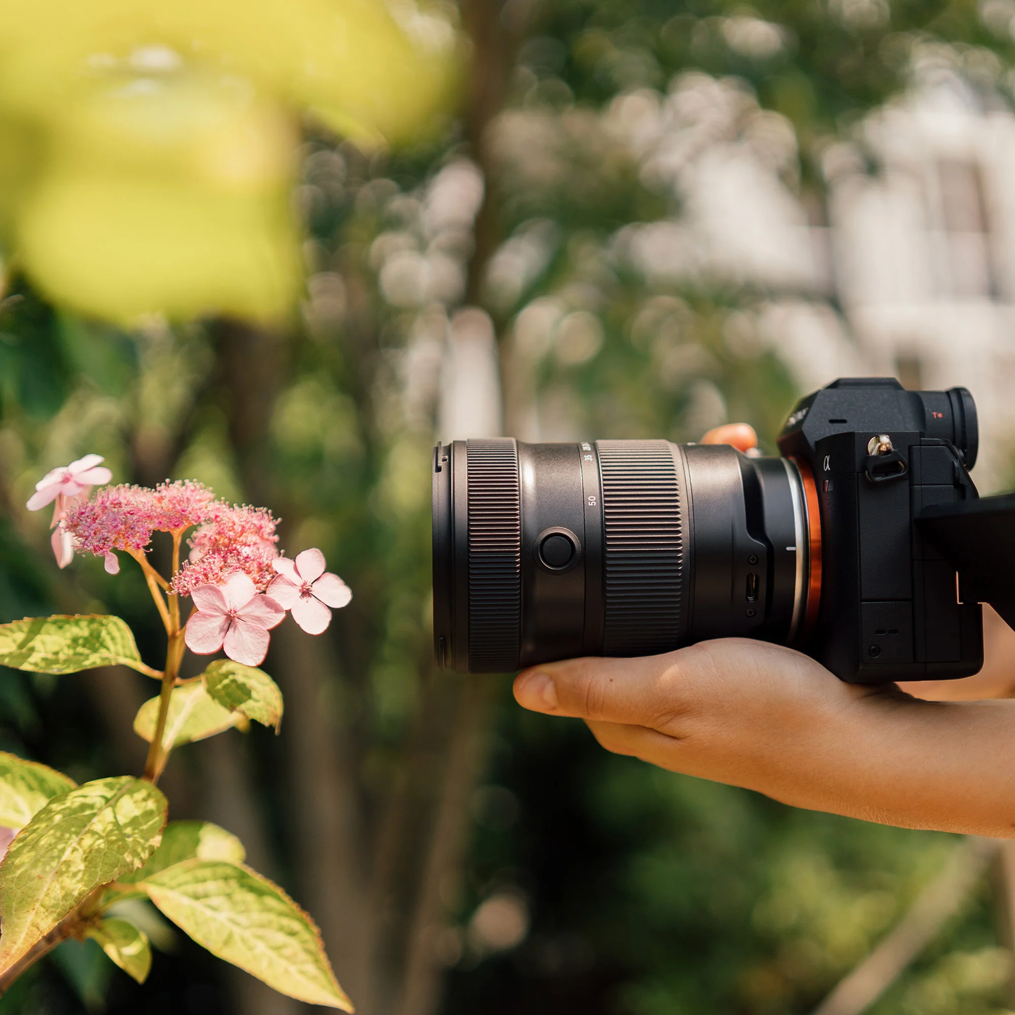 Tamron 17-50mm F/4 Di III VXD for Sony E-Mount - Image 12