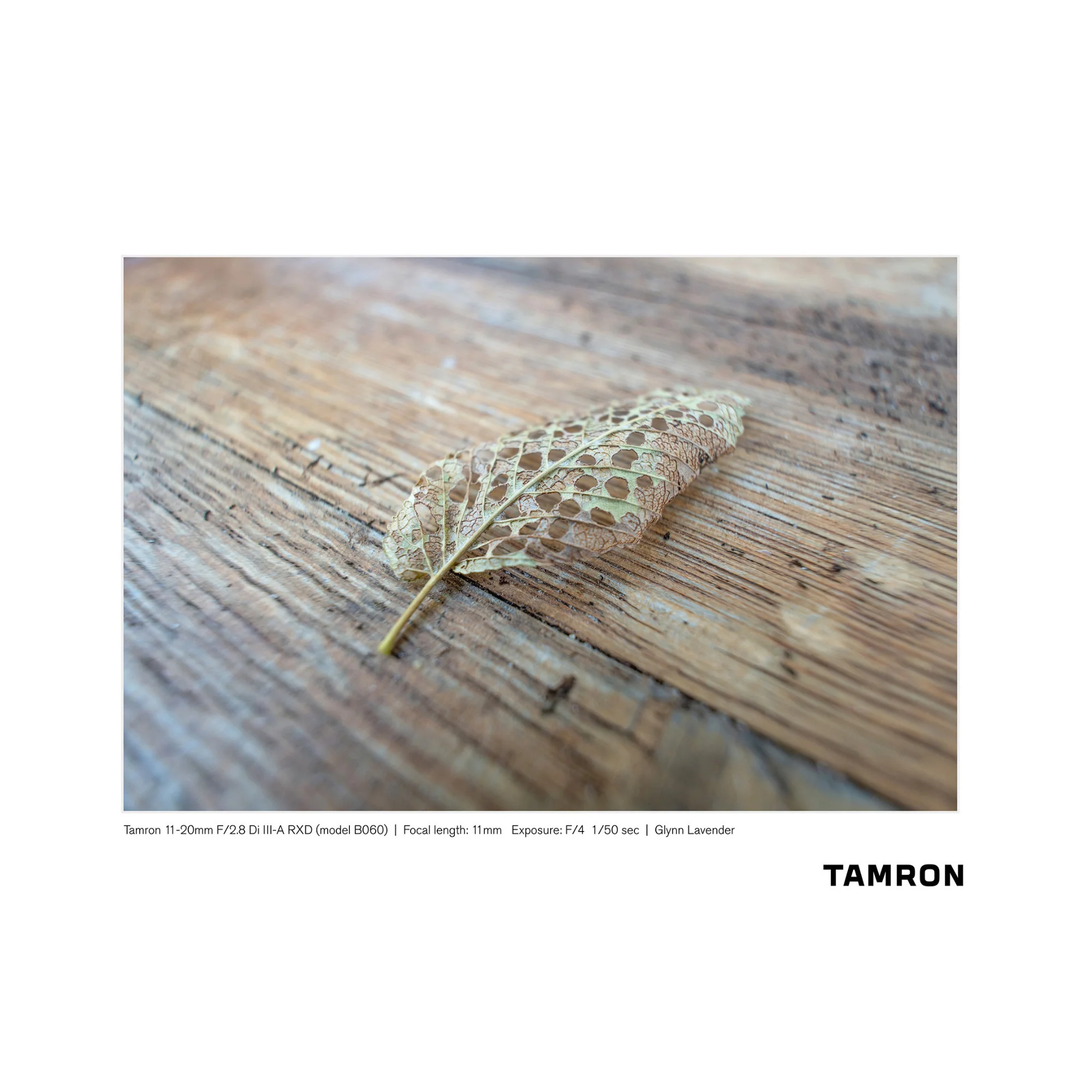 Tamron 11-20mm f/2.8 Di III-A RXD Lens for Sony APS-C Mirrorless Camera - Image 5