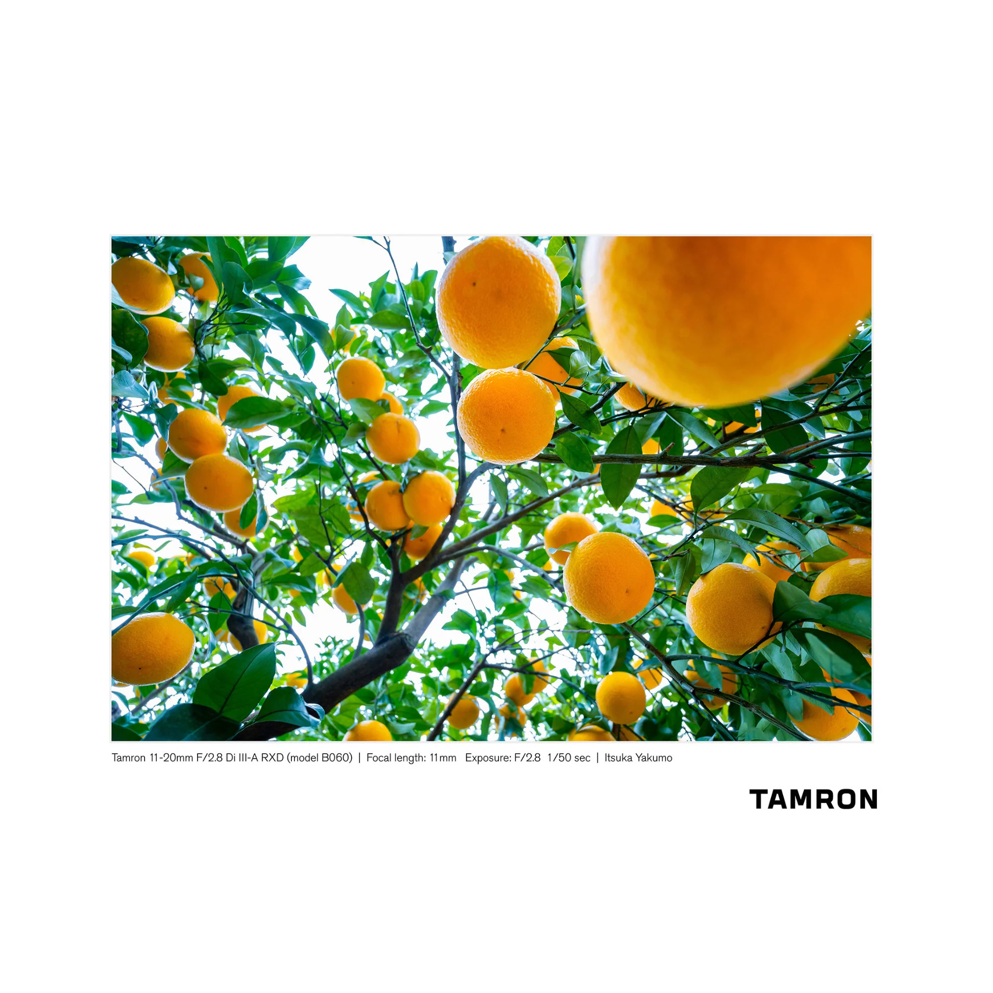 Tamron 11-20mm f/2.8 Di III-A RXD Lens for Sony APS-C Mirrorless Camera - Image 7