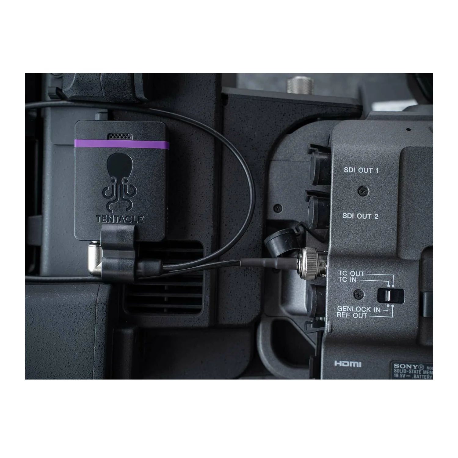 Tentacle Sync E MKII (Single Set) - Image 6