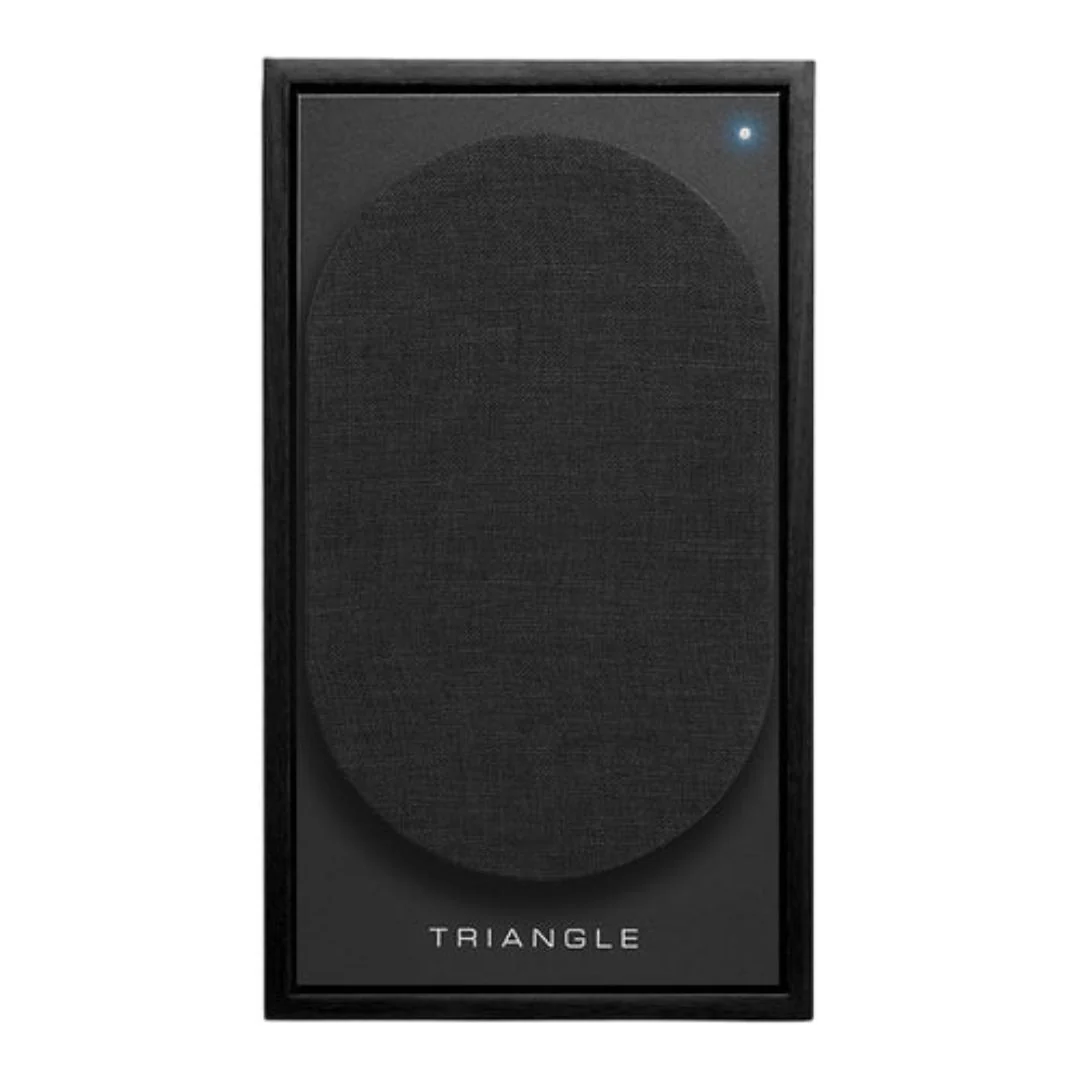 Triangle Borea BR02 Active Bluetooth Speaker Pair (Black Ash) (Used) - Image 6