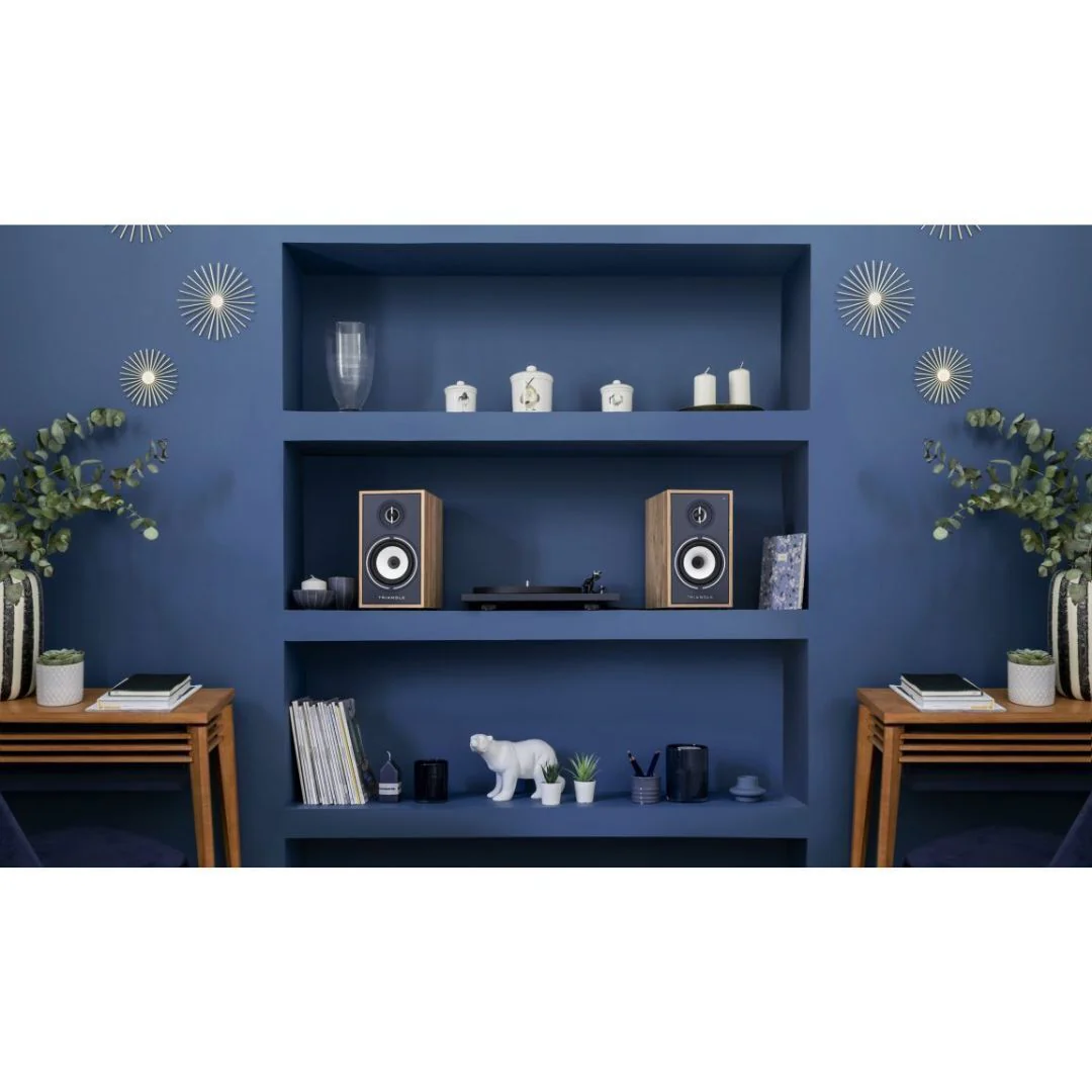 Triangle Borea Active BR03 BT Wireless Bluetooth Bookshelf Speaker (Light Oak Blue) - Image 5