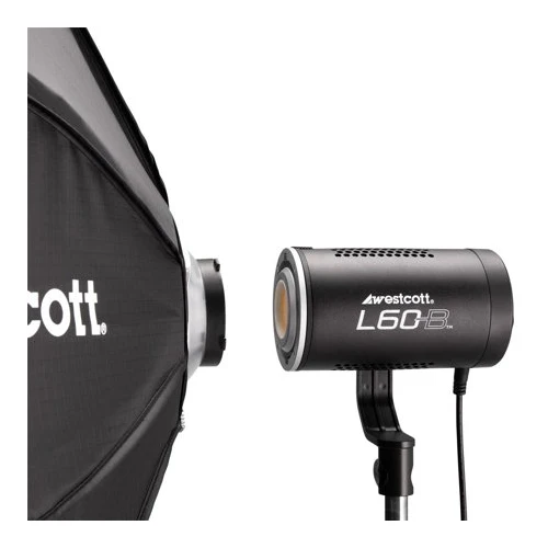 Westcott L60-B Bi-Color COB LED Video Light 1-Pack and Backpack Kit - Image 11