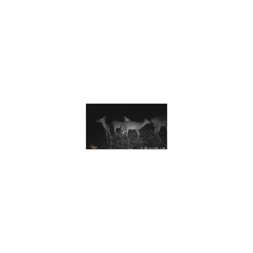 Wildgame Innovations Terra Extreme 14MP Camera with SD Card and High-Speed Card Reader - Image 11